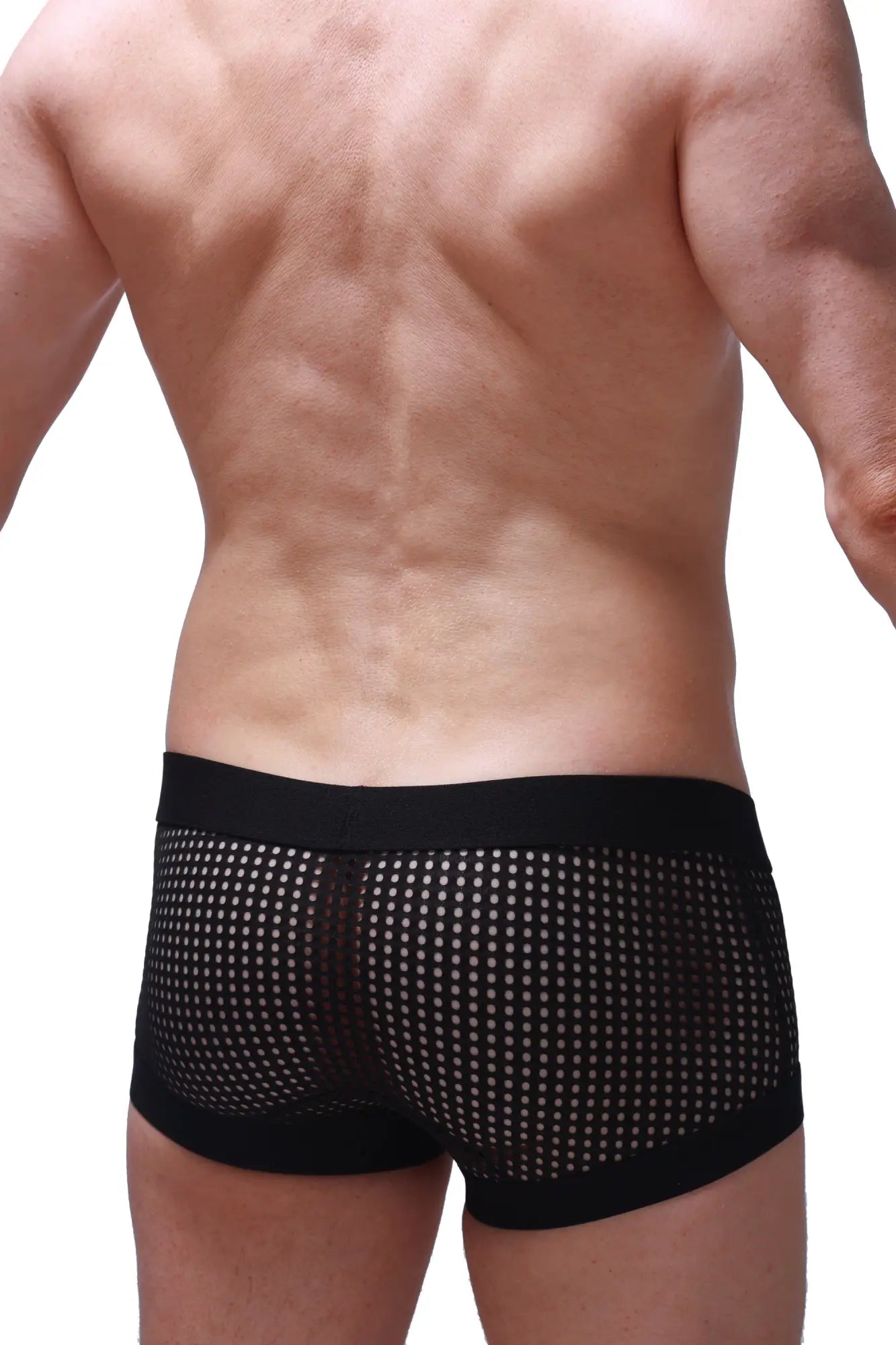 Black mesh briefs with solid black waistband and leg openings from PetitQ boxer rabol durtol collection