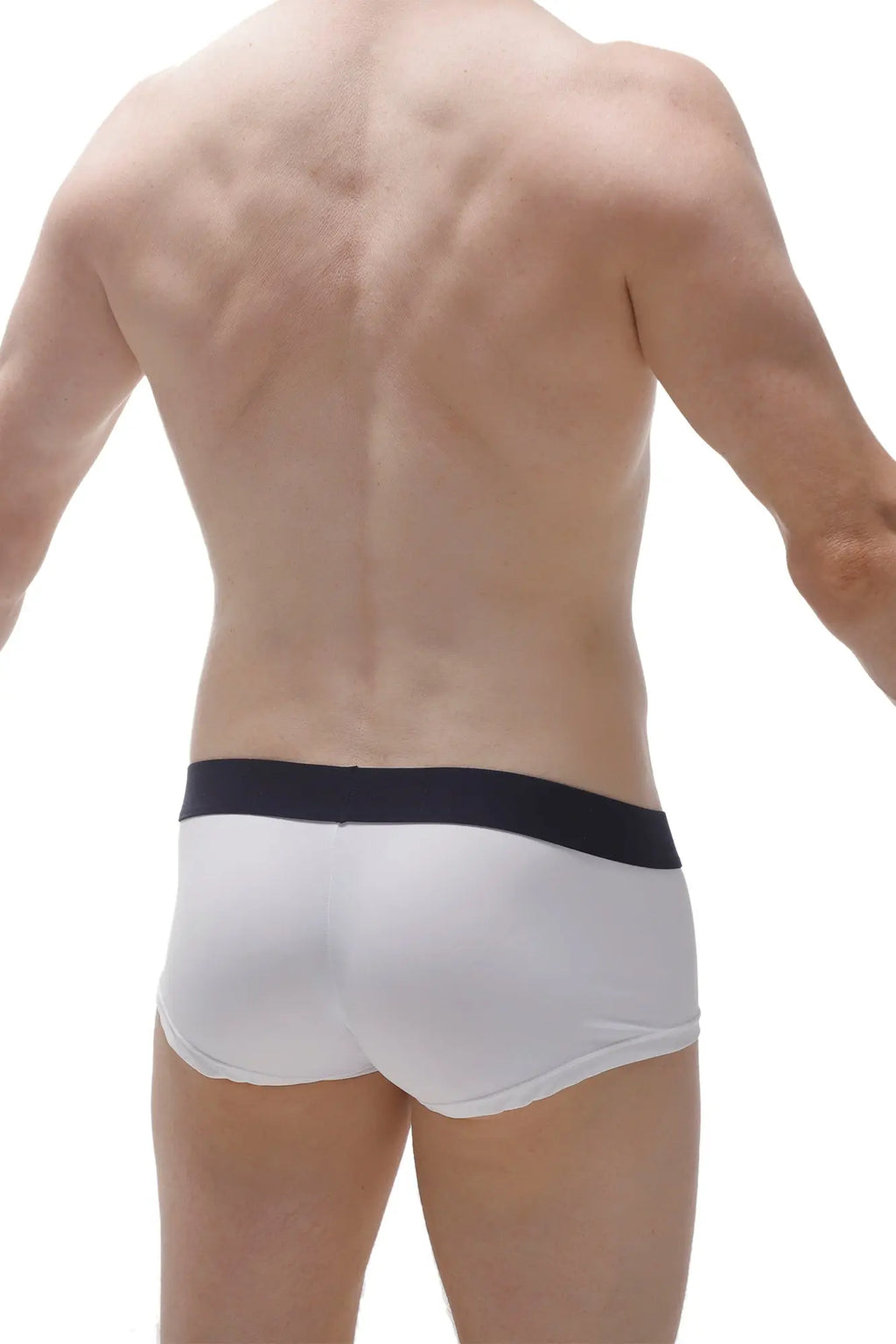 White briefs with a black waistband from petitq boxer taik econyl white made from sustainable econyl material