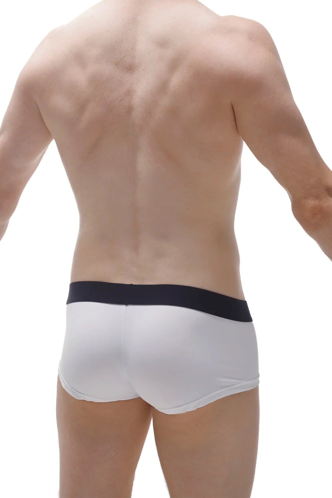 White briefs with a black waistband from petitq boxer taik econyl white made from sustainable econyl material