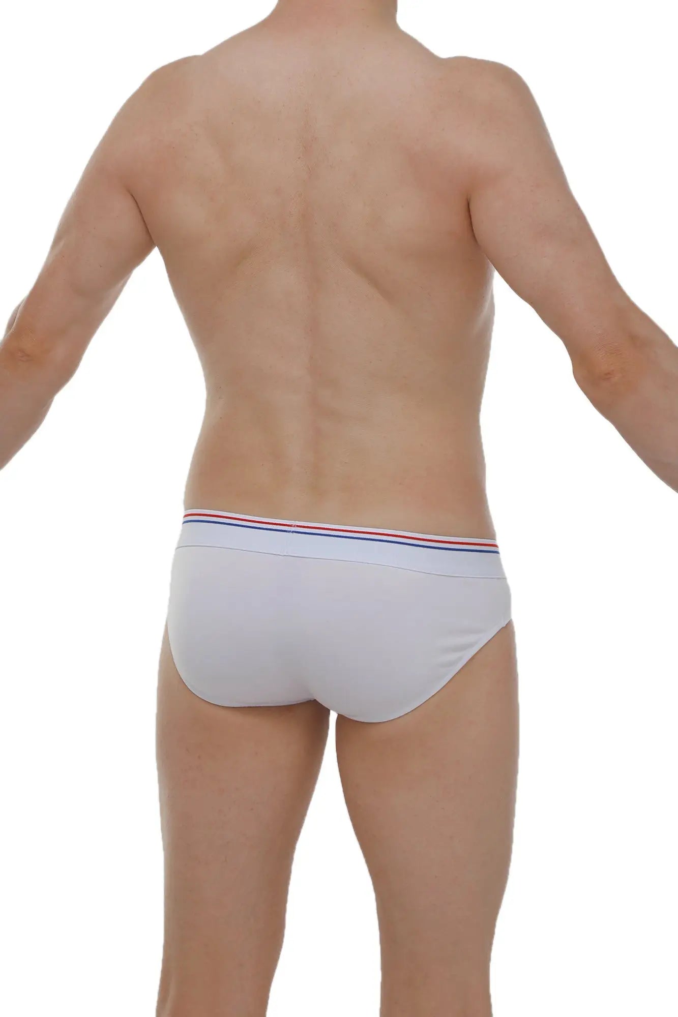 PetitQ brief Anjouin modal white white briefs with red white and blue striped waistband front view