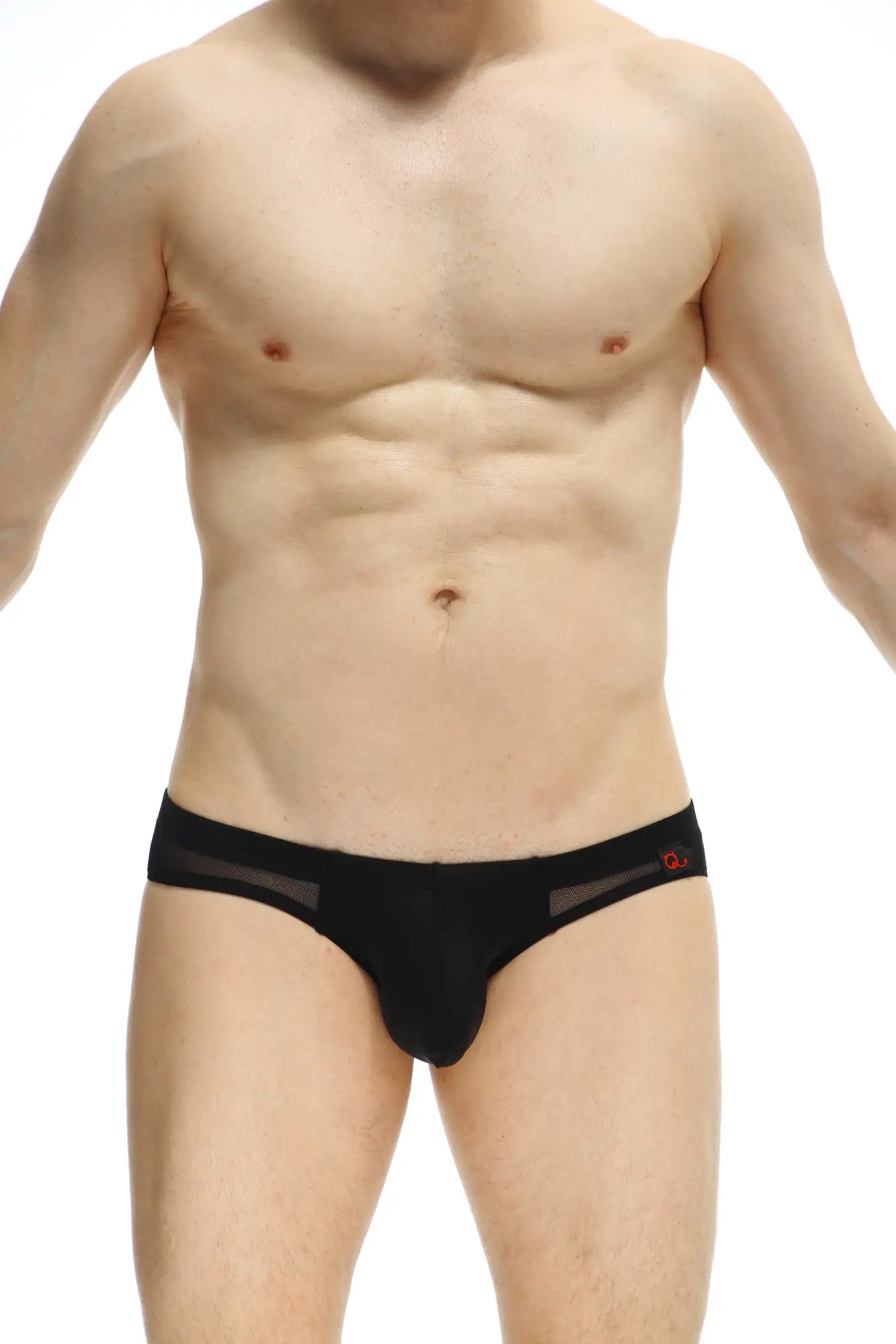 Black mens briefs petitq brief aubiac black with sheer mesh panels and small red logo on waistband