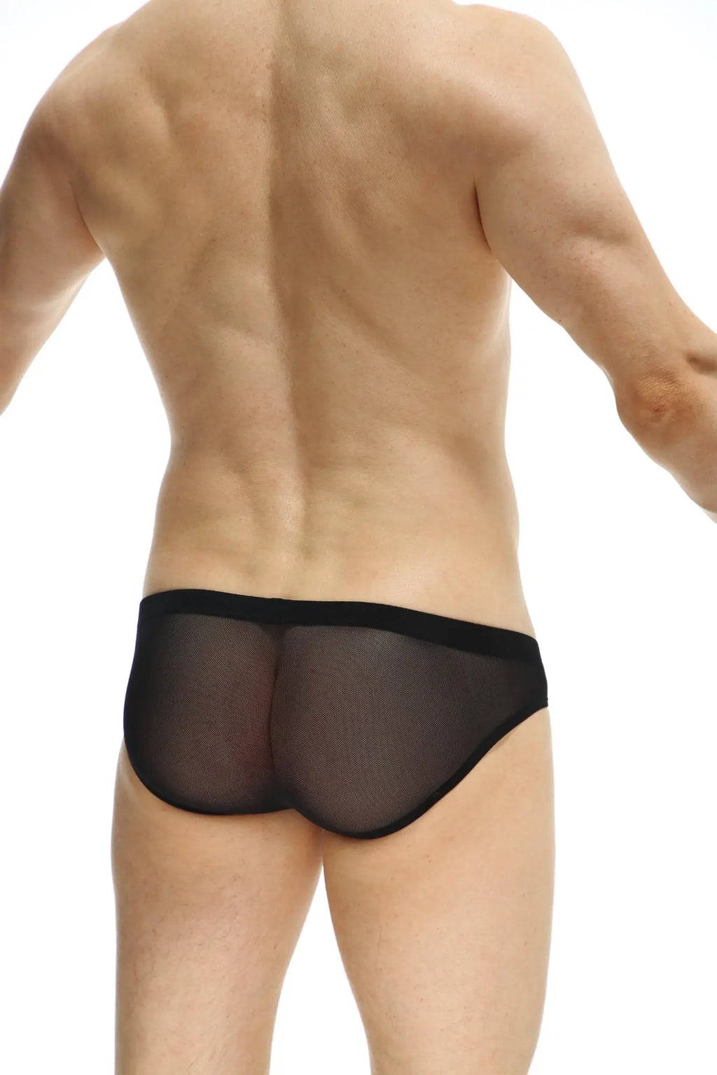 Petitq brief aubiac black black sheer mesh briefs with solid black waistband front view