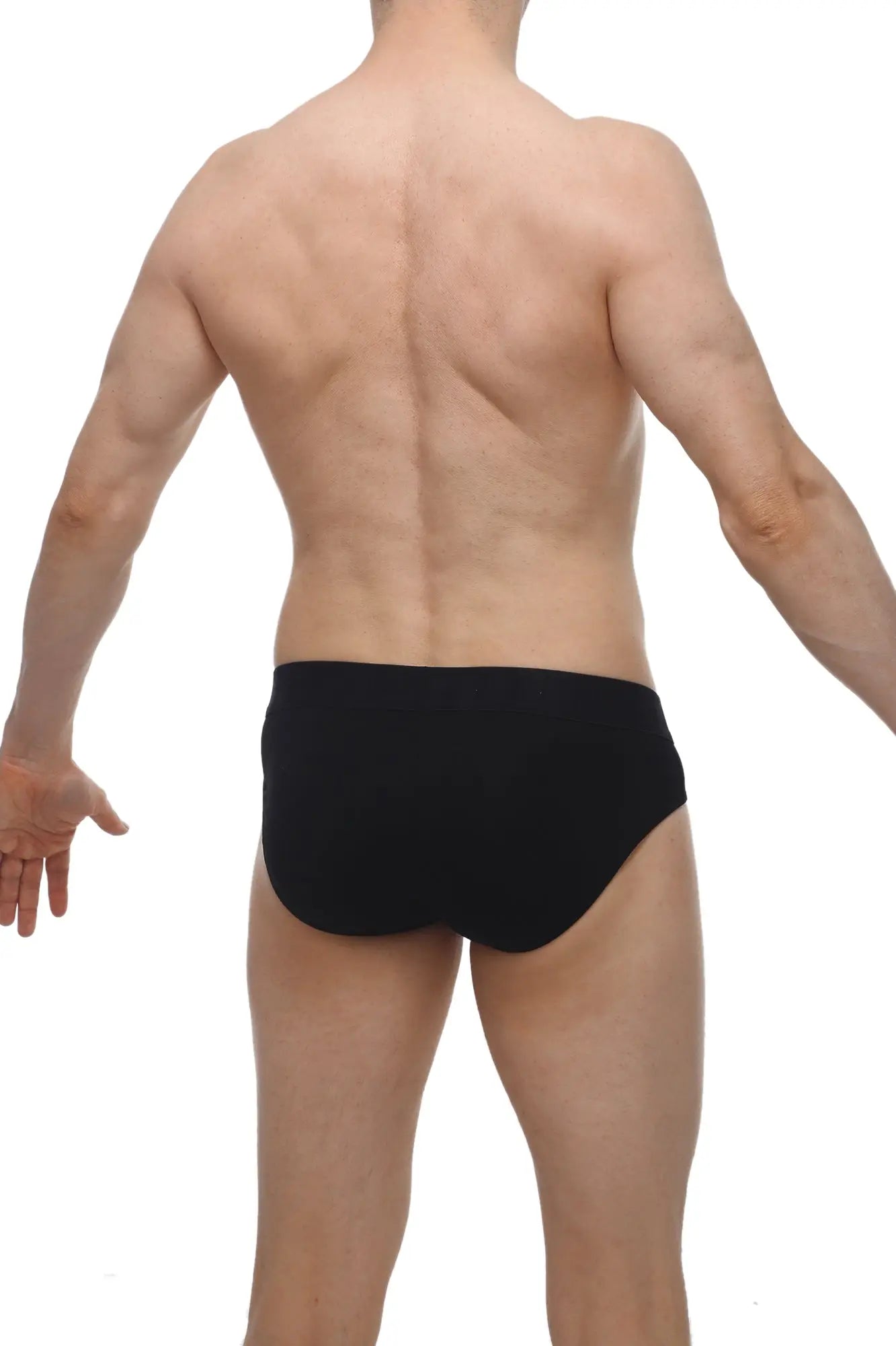 Black briefs petitq brief bertran modal in black made from soft modal fabric for comfortable everyday wear