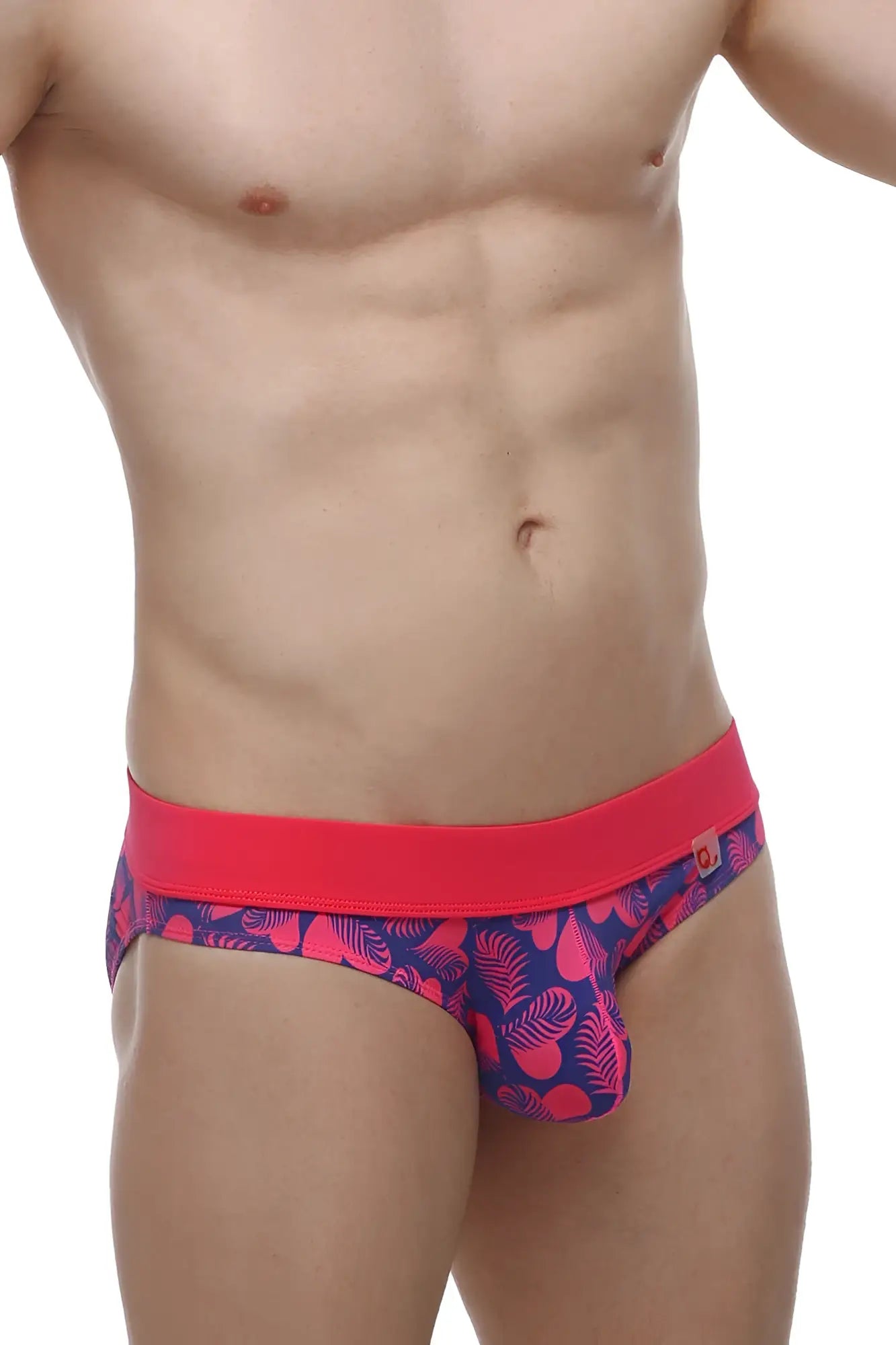 PetItQ brief Blaru tropical hearts vibrant pink and navy blue patterned briefs with bold red waistband front view