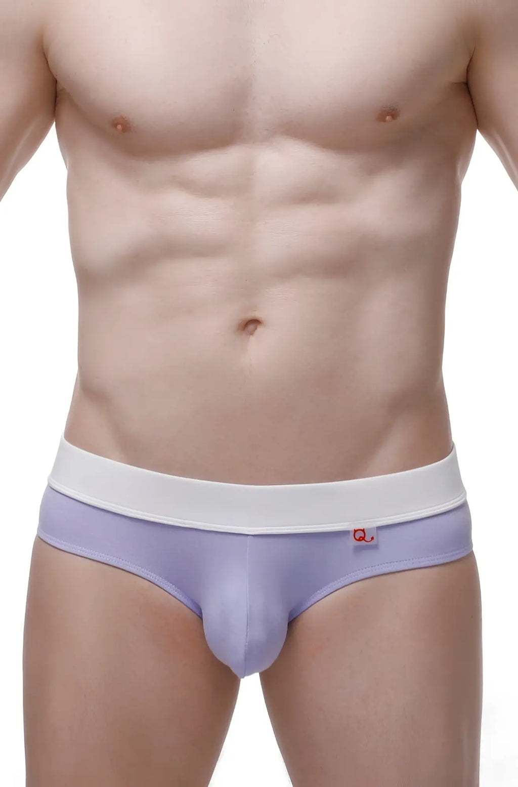 Lavender colored petitq brief céron bamboo purple men’s briefs with white elastic waistband and small red logo on side