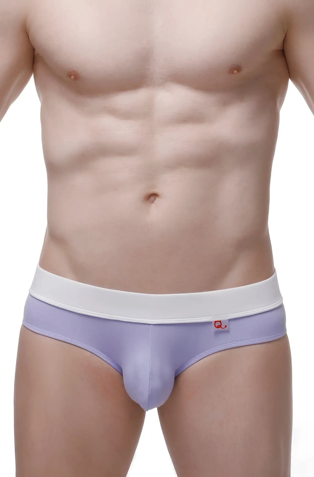 Lavender colored petitq brief céron bamboo purple men’s briefs with white elastic waistband and small red logo on side