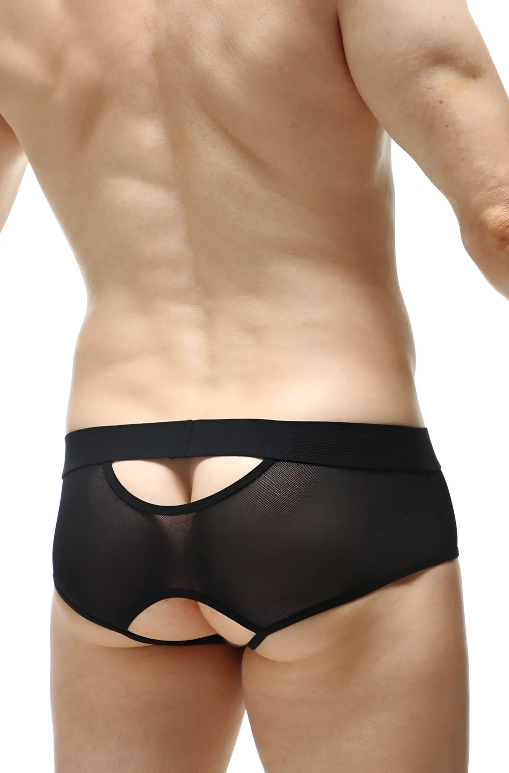 Black mesh briefs petitq brief culan net black with solid waistband and cutout design