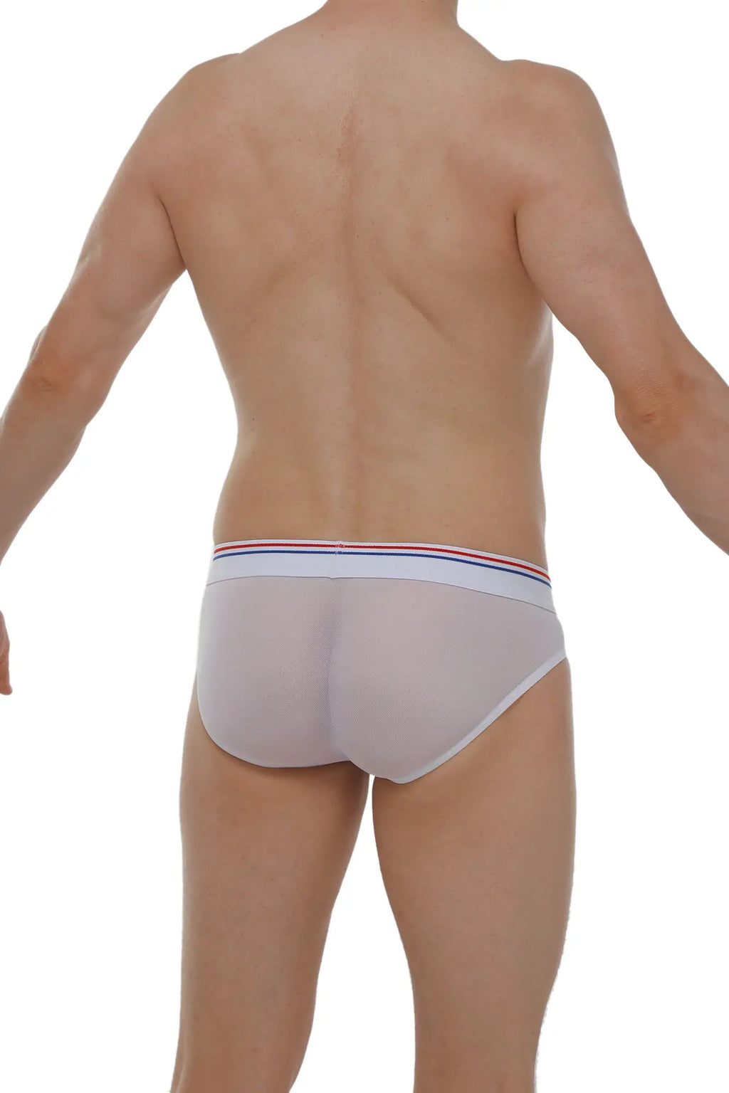 PetitQ brief Dolmen net white mesh briefs with striped red white and blue waistband front view