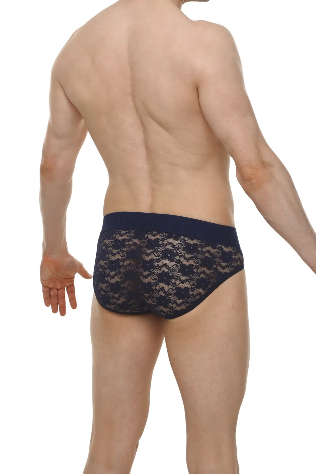 Dark blue lace briefs with a solid waistband in a brief dome lace navy design showing the back side