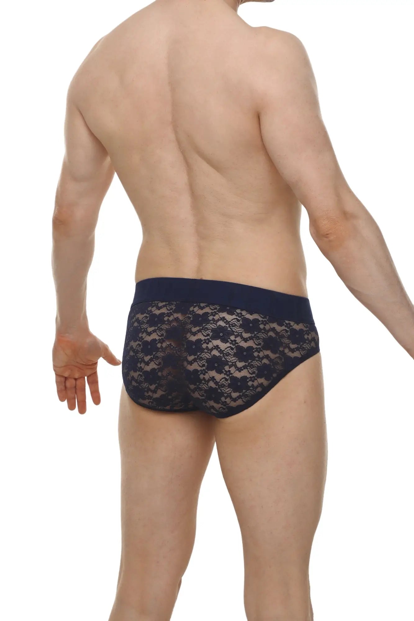 Dark blue lace briefs with a solid waistband in a brief dome lace navy design showing the back side