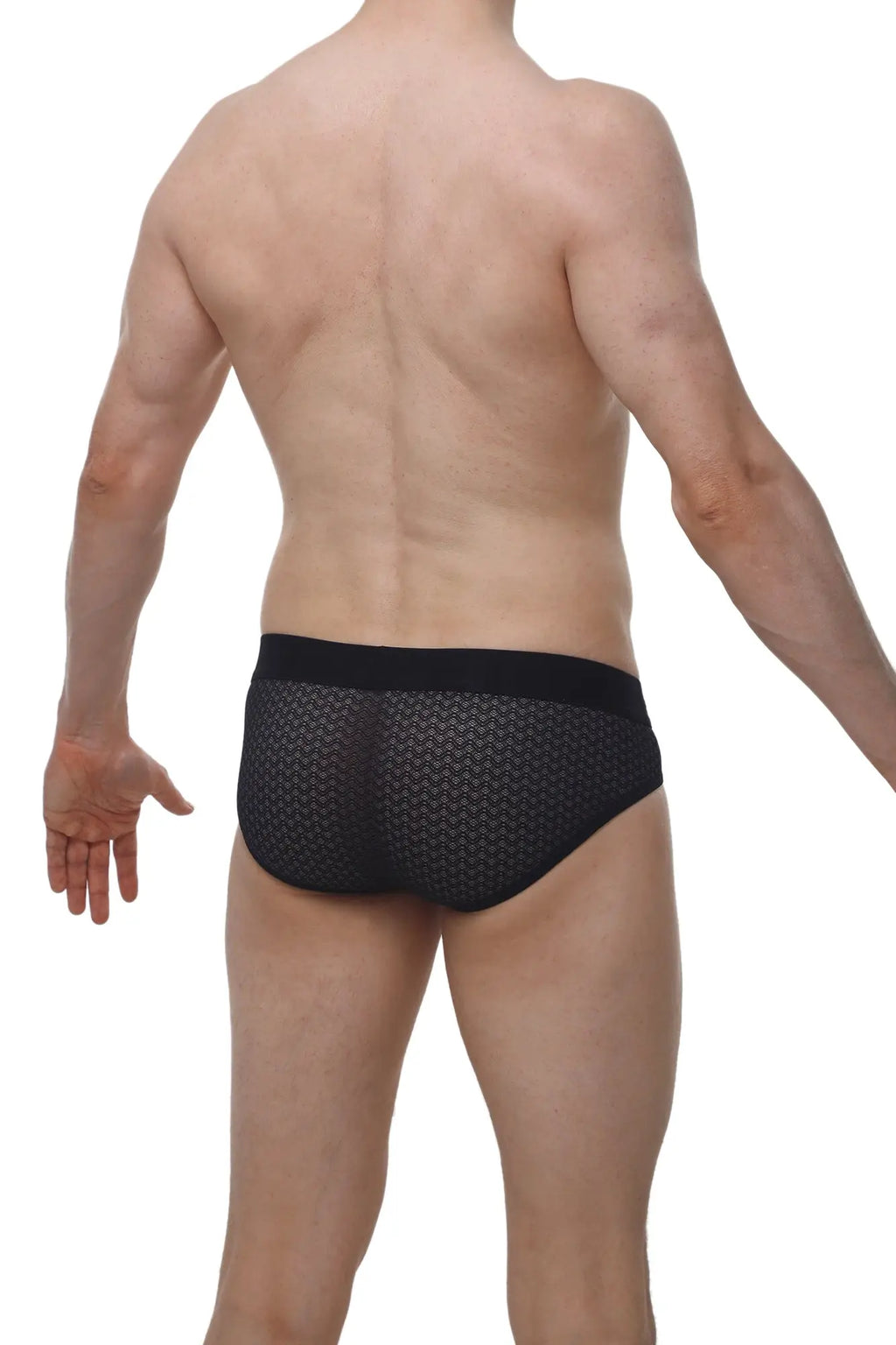 Petitq brief dome macra black mesh briefs with subtle geometric pattern and solid black waistband