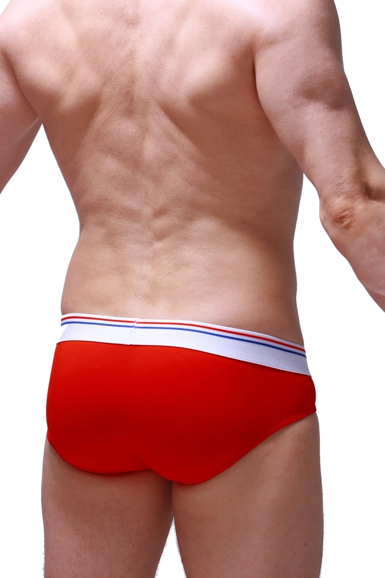PetitQ brief dome modal red red briefs with white waistband and thin red and blue stripes for comfortable wear