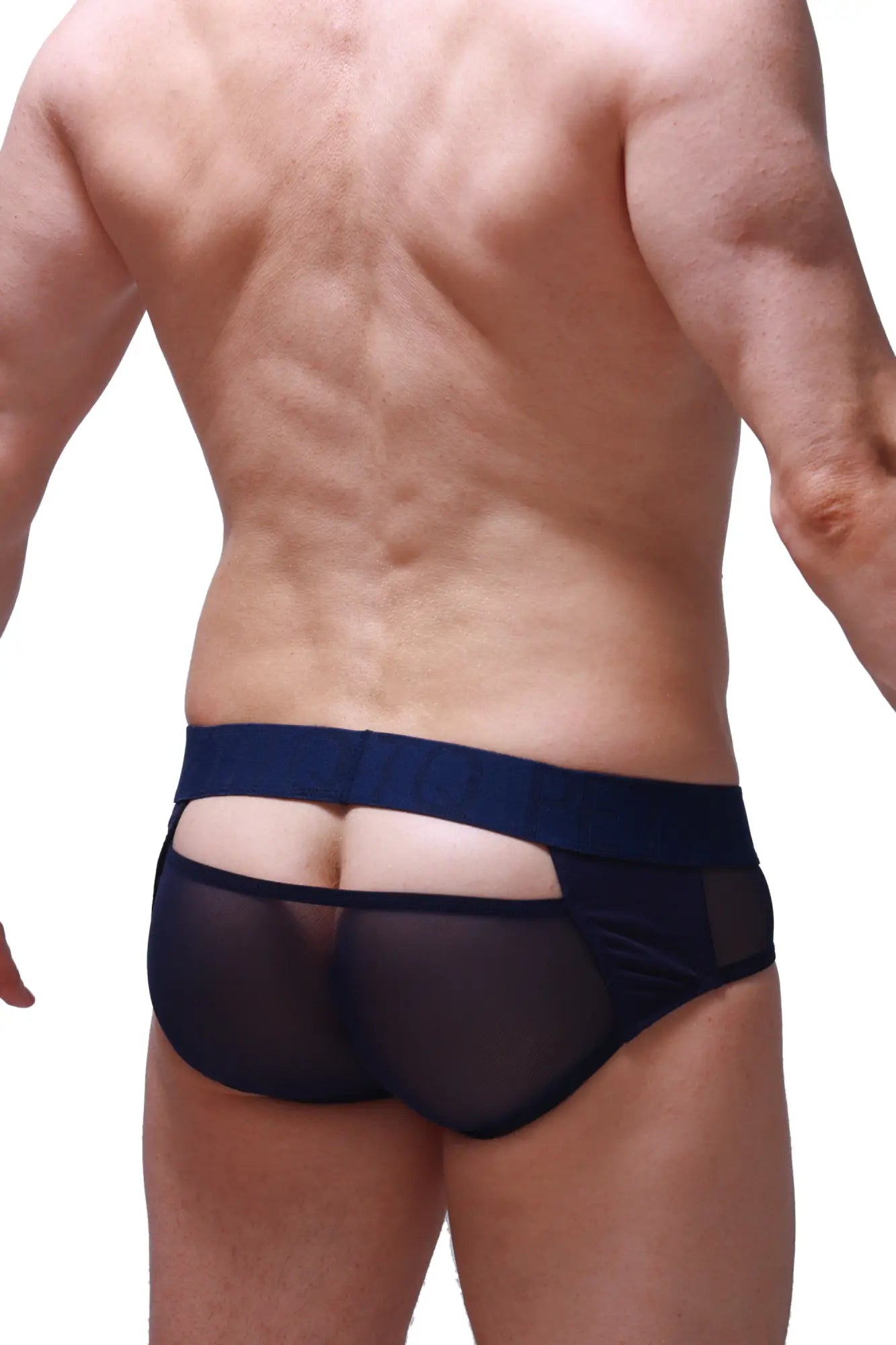 Navy blue sheer mesh briefs with solid waistband from petitq featuring breathable lightweight fabric for everyday wear