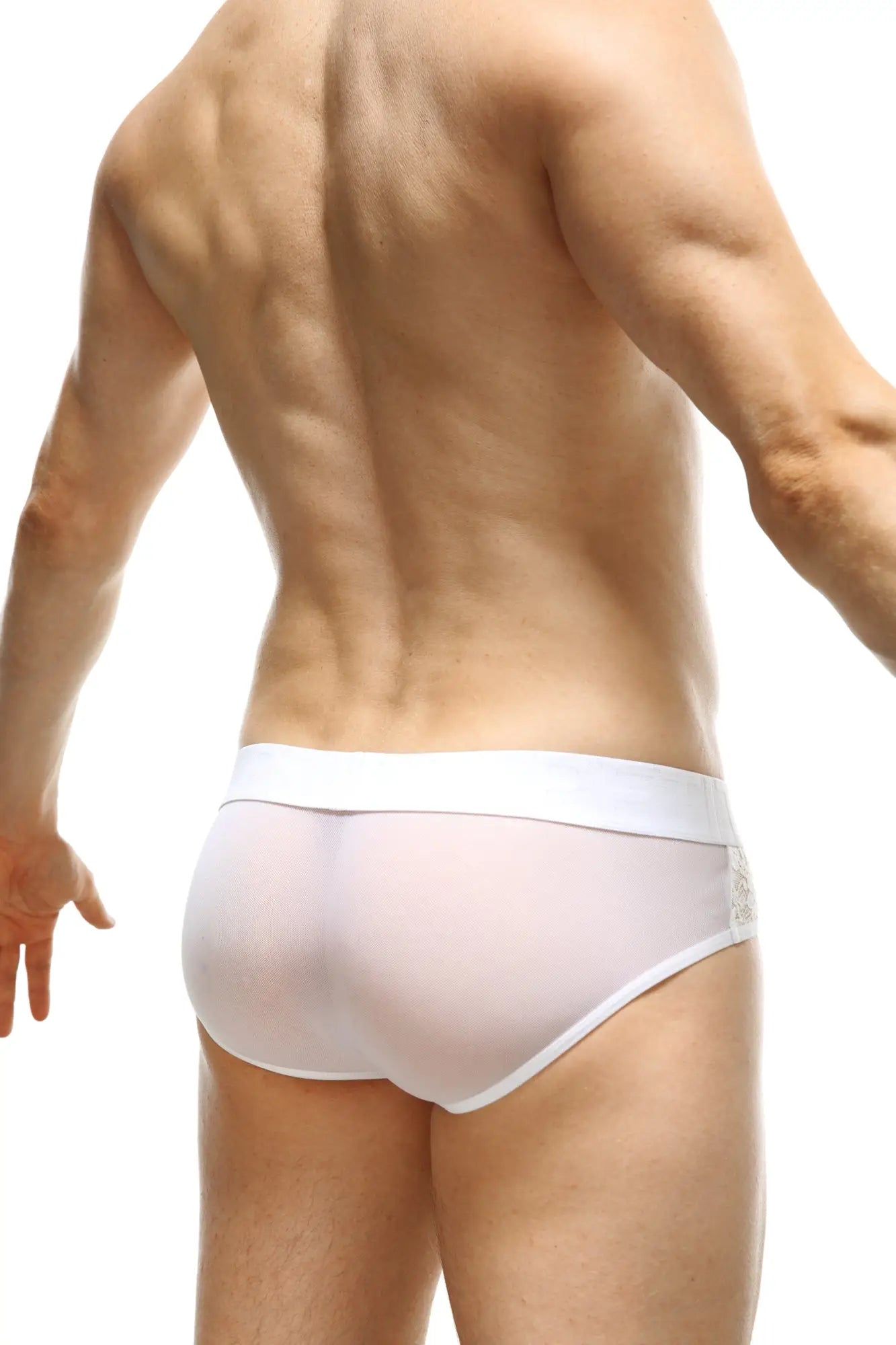 White sheer PetitQ brief Ethel lace with solid white waistband and subtle lace detailing on the side