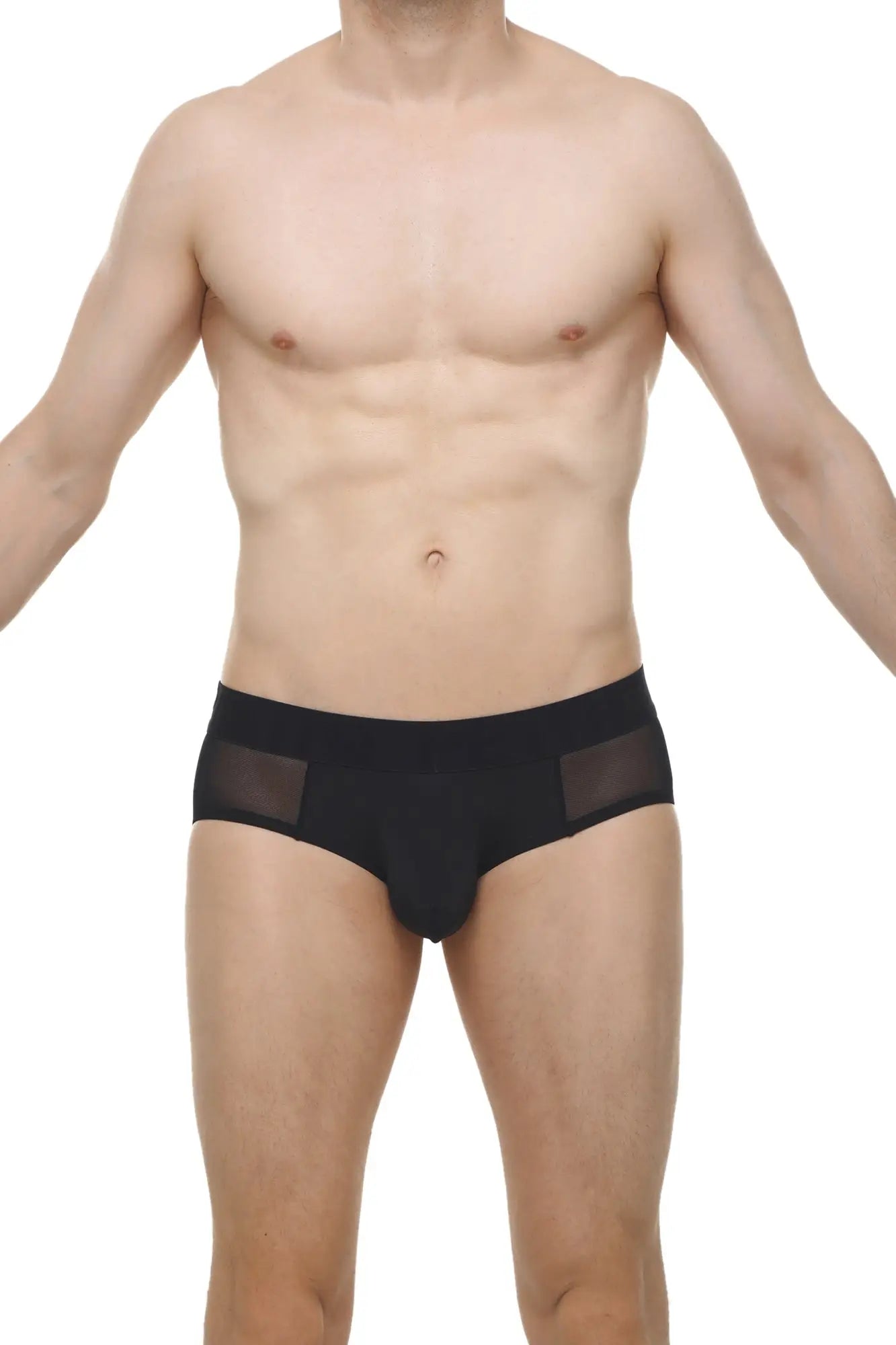 Brief lescar black men’s briefs with sheer mesh side panels in black for breathable comfort