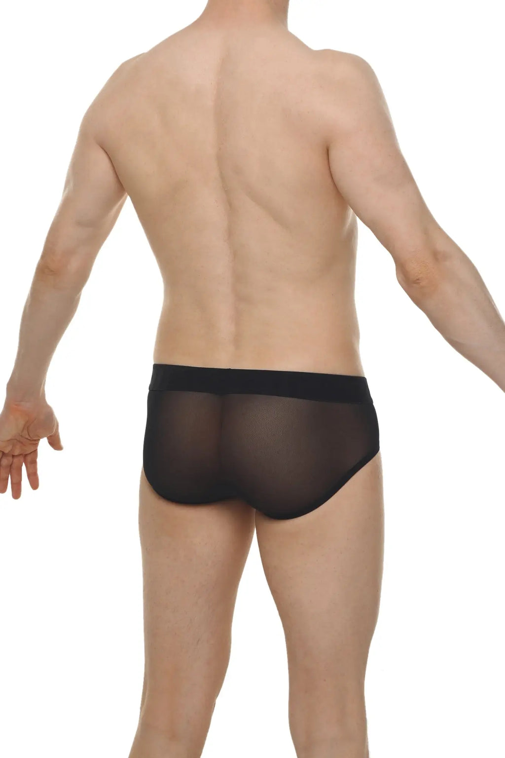 Brief lescar black black sheer mesh briefs with solid black waistband showing front side