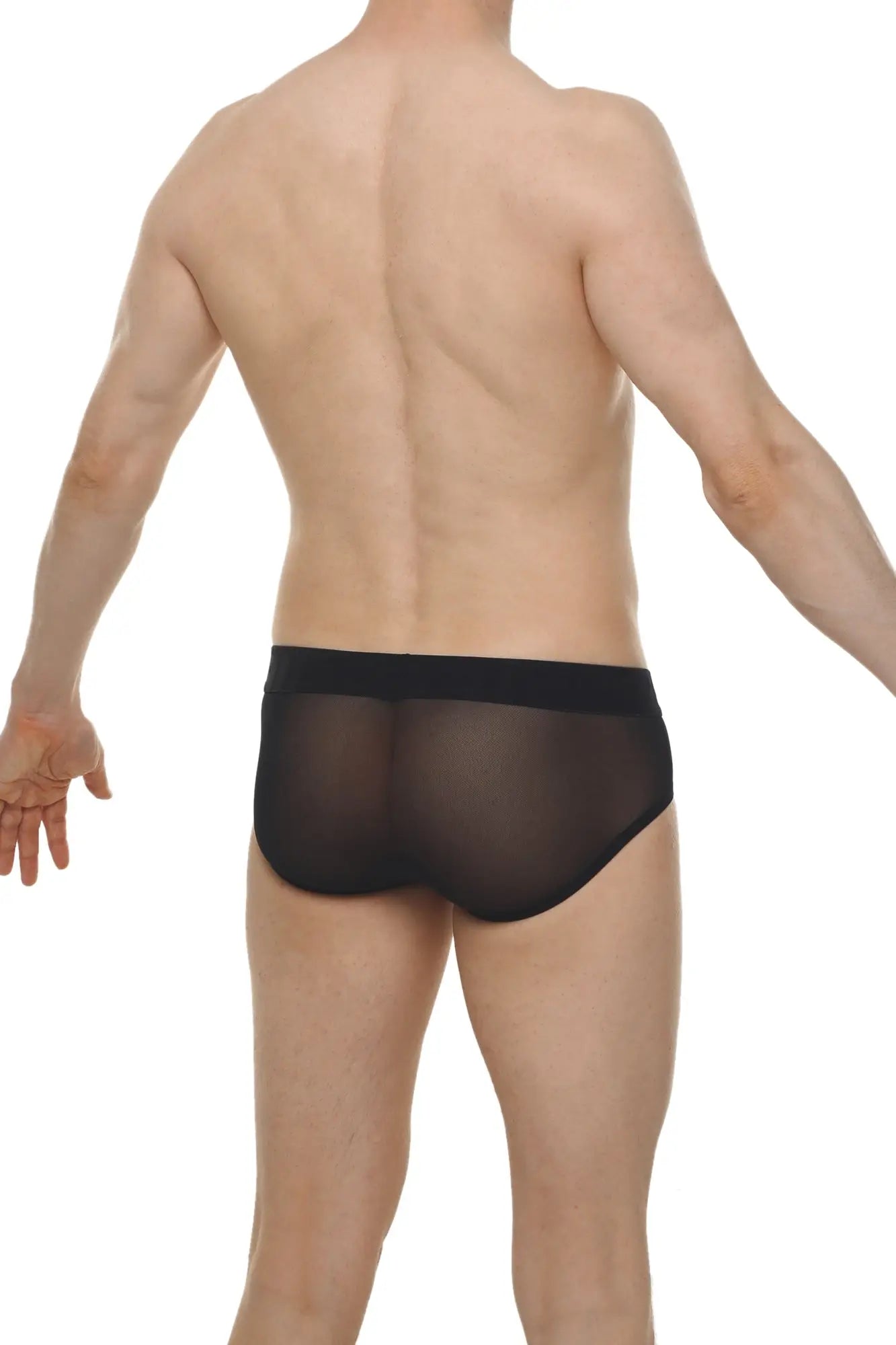 Brief lescar black black sheer mesh briefs with solid black waistband showing front side