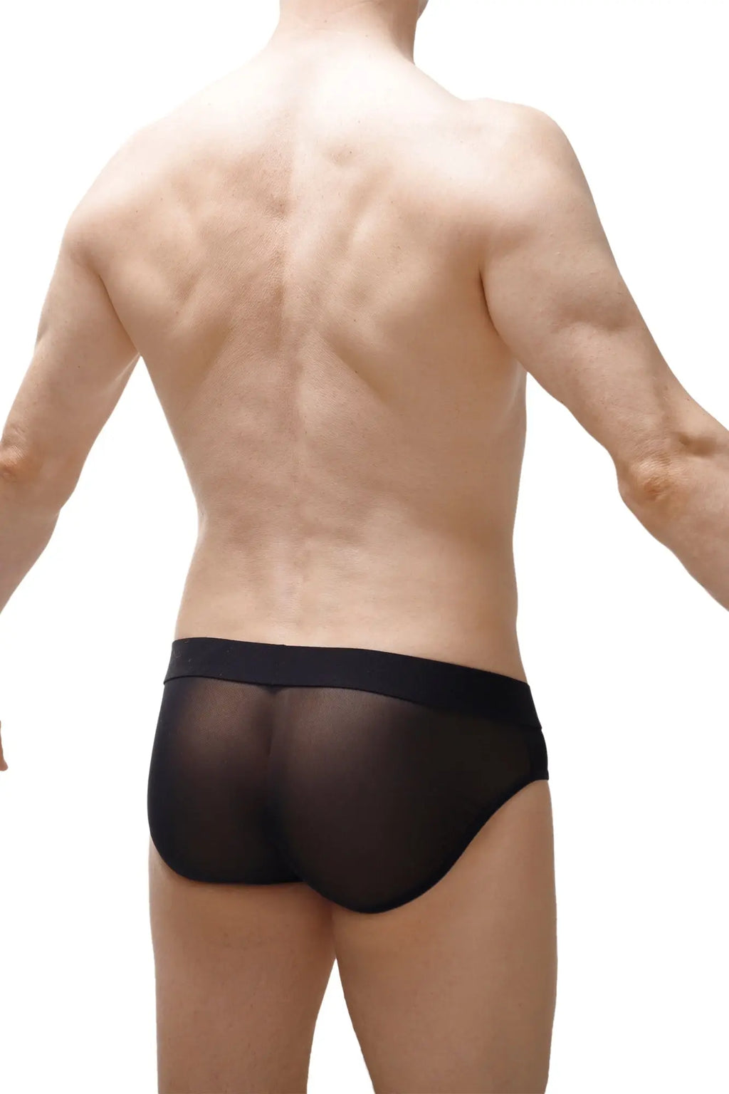 Black sheer mesh briefs with solid black waistband from petitq brief nouans leopard rainbow product line