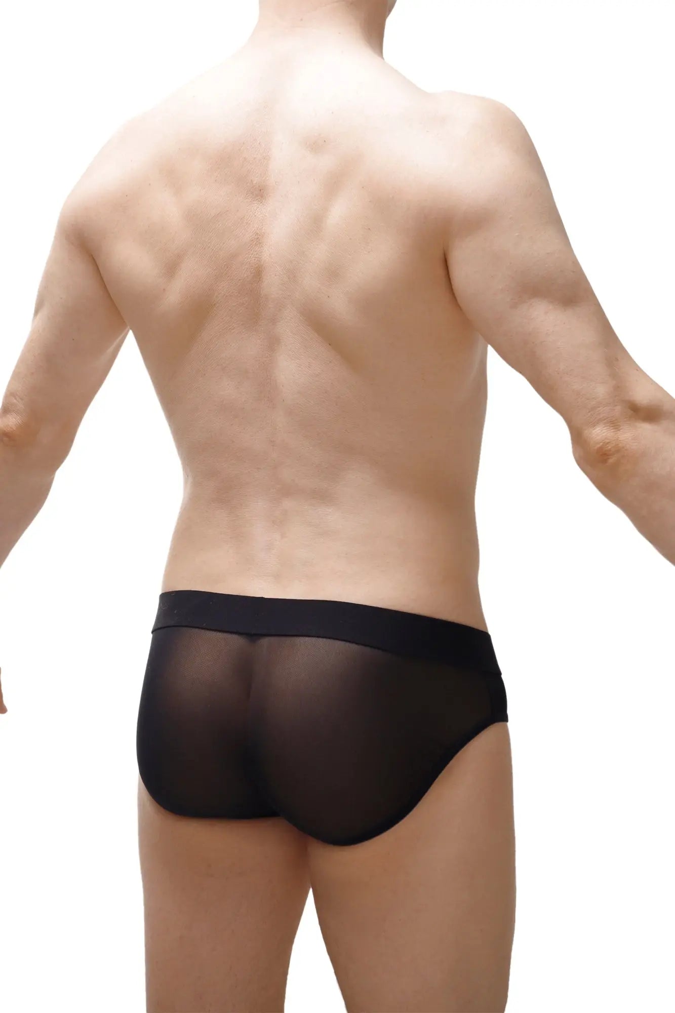 Black sheer mesh briefs with solid black waistband from petitq brief nouans leopard rainbow product line