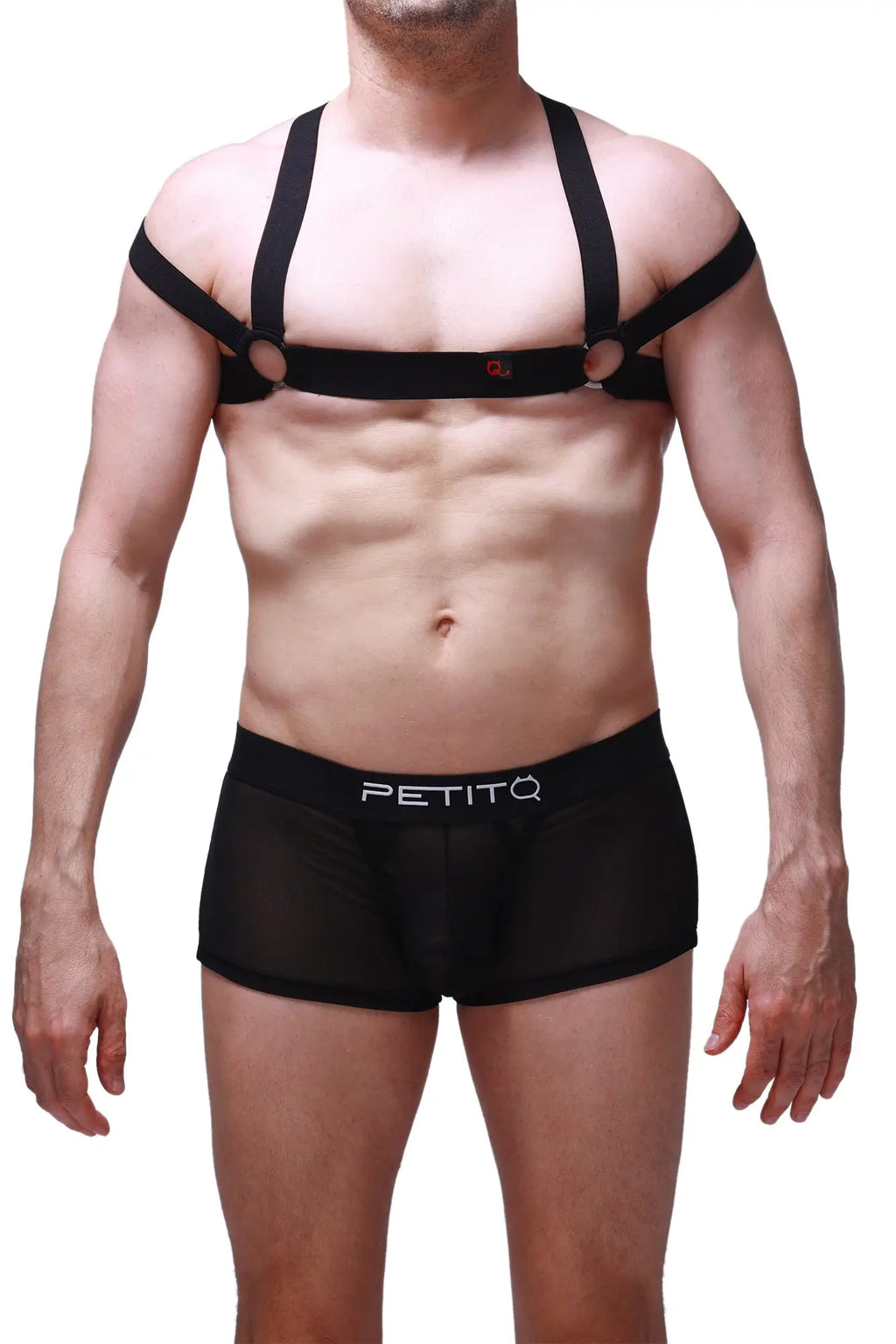 Black mesh briefs with petitq branded waistband designed as part of the petitq chest harness louens black collection