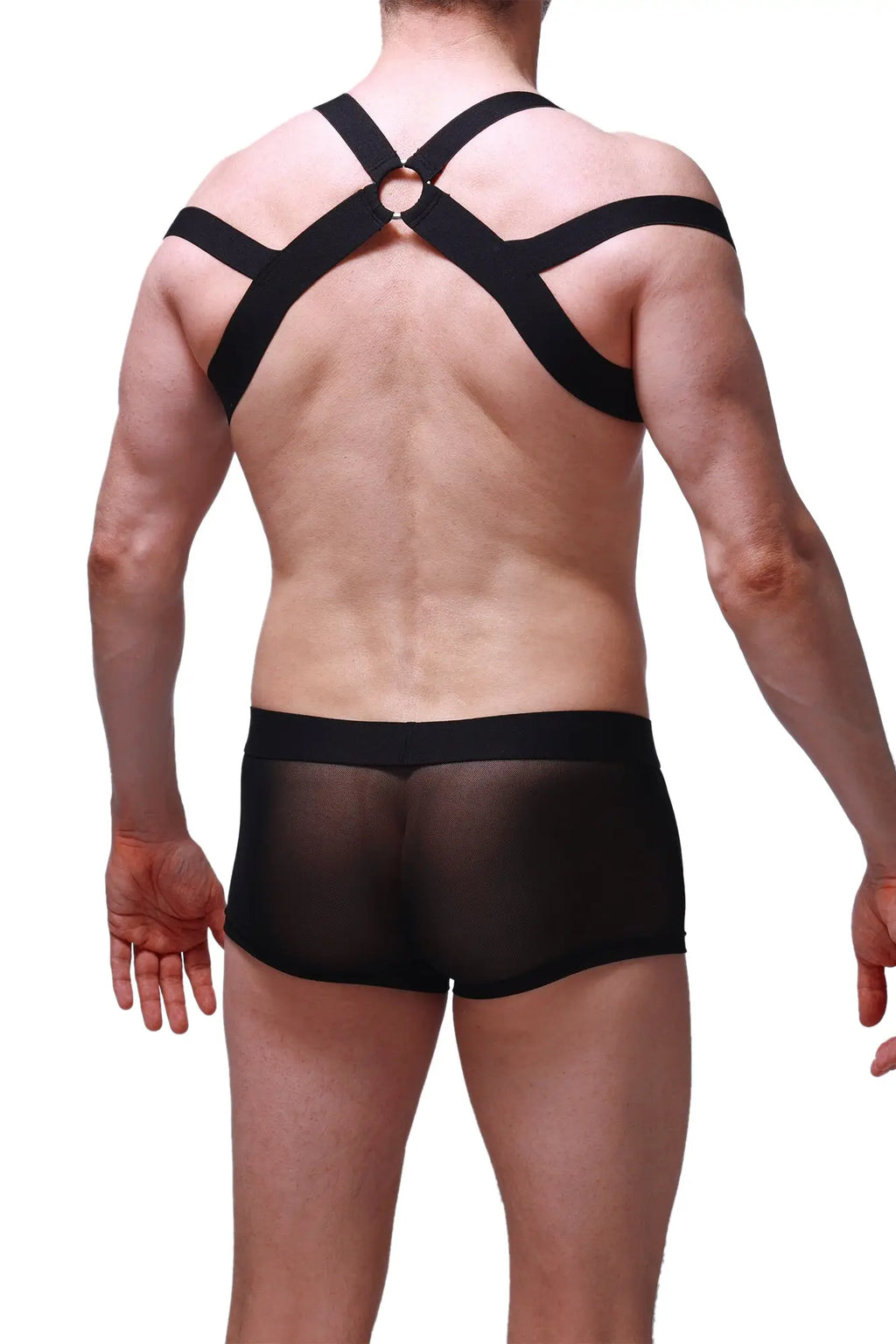 Black sheer mesh briefs with matching black cross-back harness straps shown from the back in petitq chest harness louens black