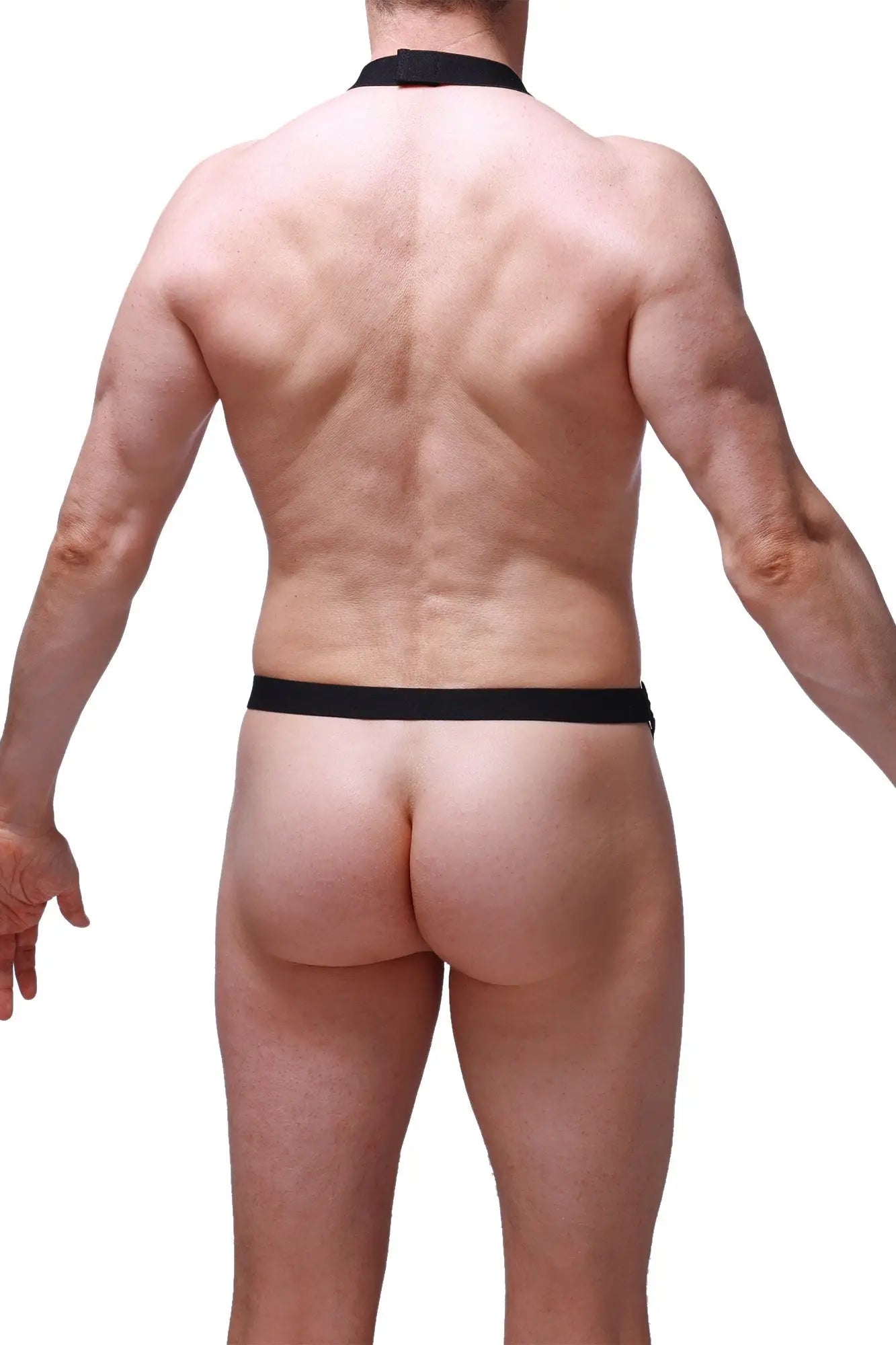 Black thong with matching choker style neckband from petitq harness augnax black set shown from front view