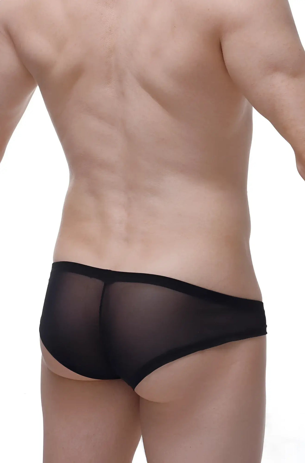 Black sheer mesh briefs petitQ mini boxer Macau bulles with solid black waistband front view