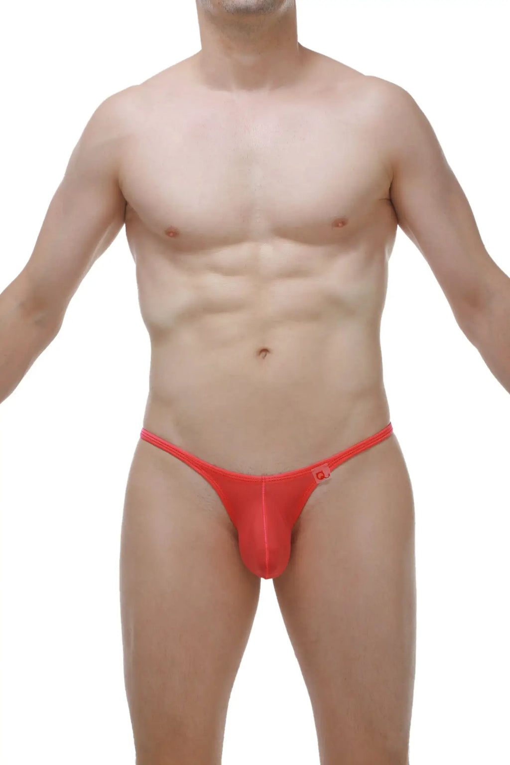 Bright red sheer mesh PetitQ thong with small logo on right hipband in cernier plum crimson shade