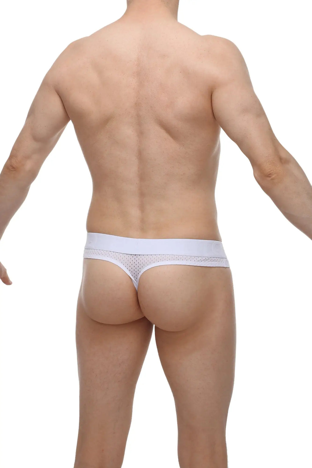 White mesh thong with solid waistband and integrated cockring from petitq bee white collection shown from front view