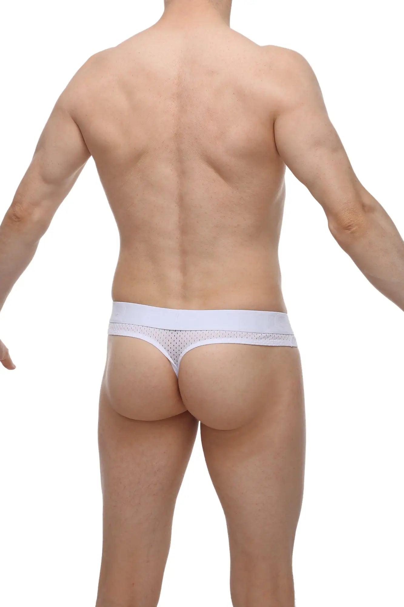 White mesh thong with solid waistband and integrated cockring from petitq bee white collection shown from front view