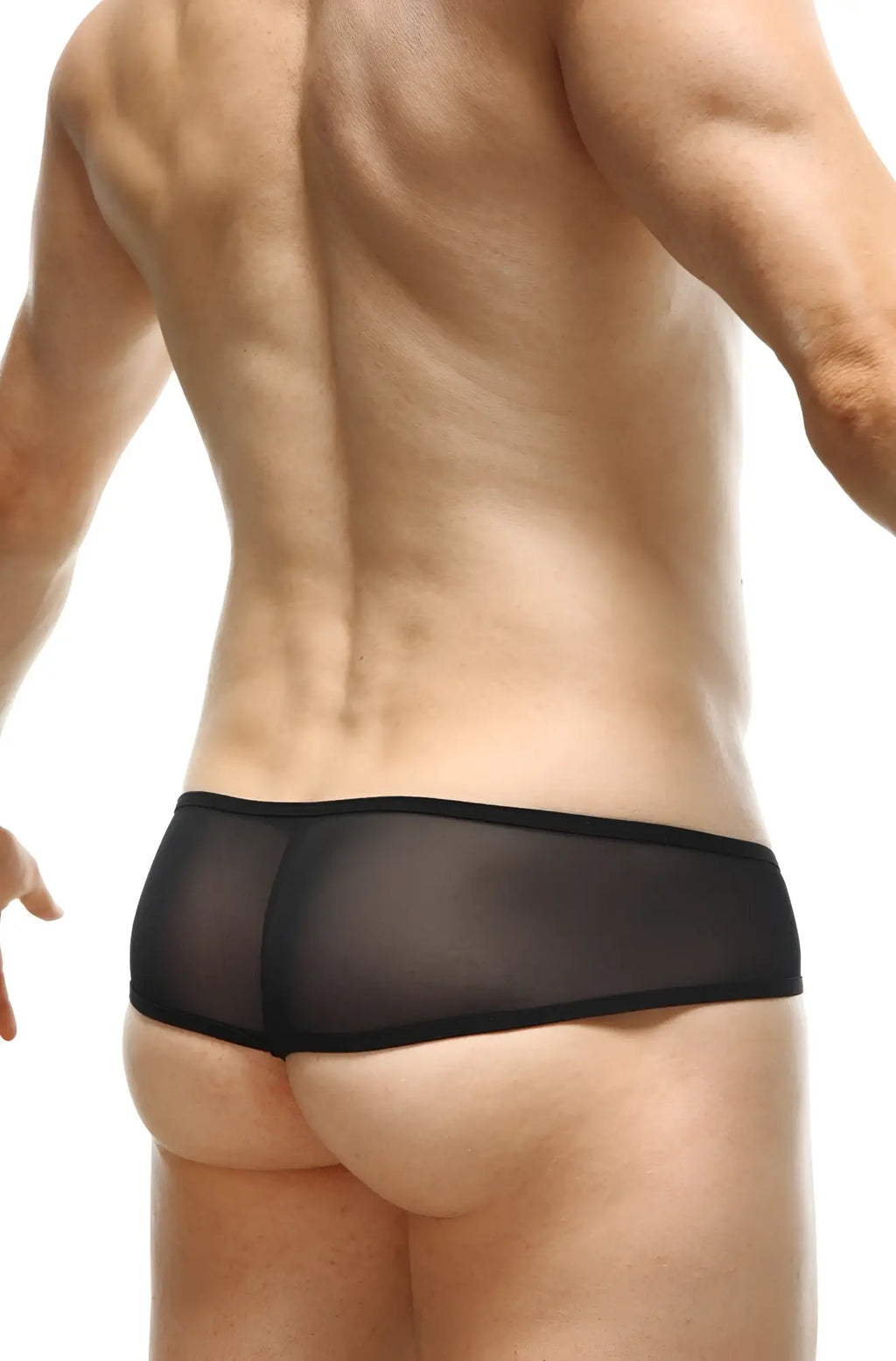 Black sheer mesh briefs thong toga net black with solid black waistband front view