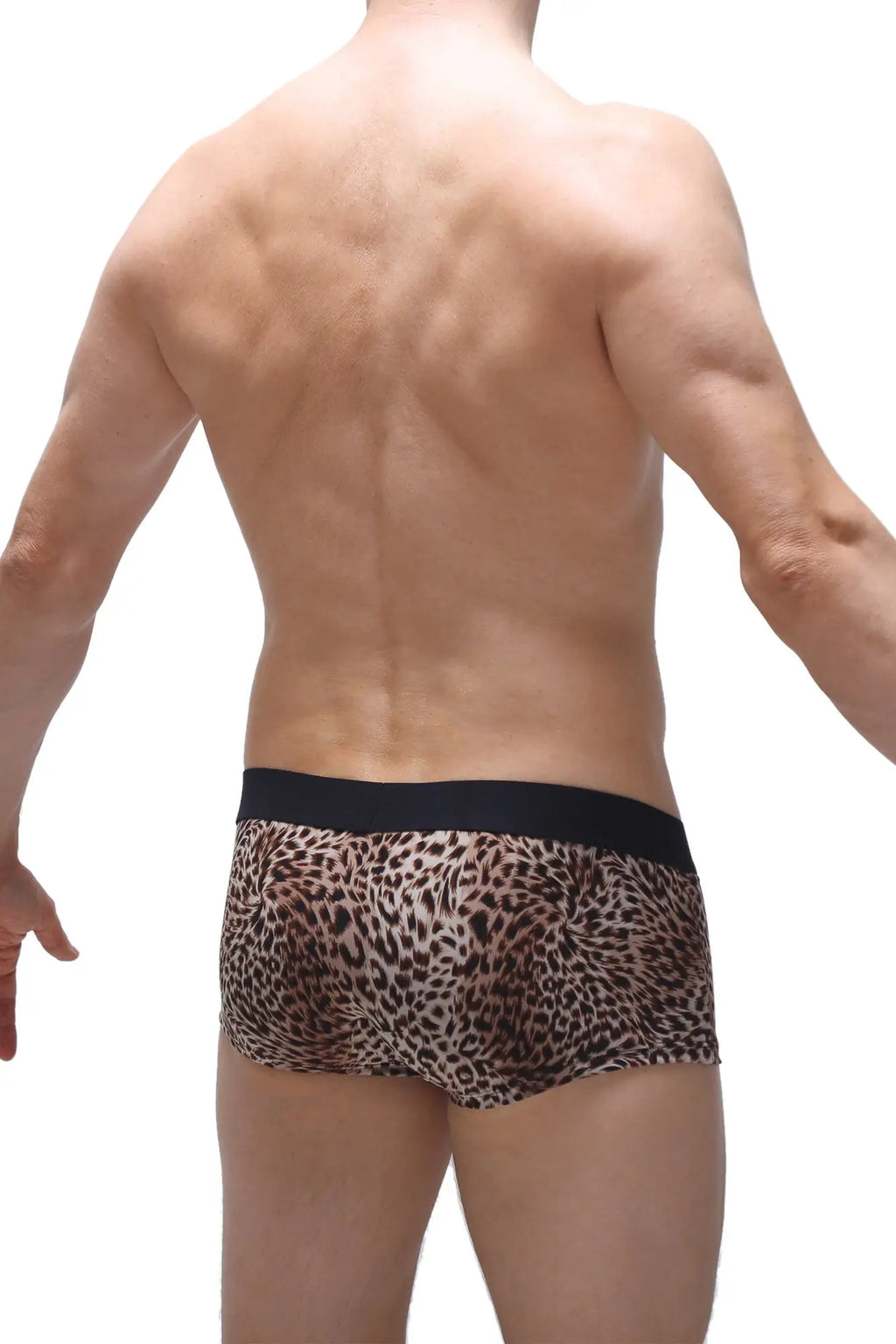 PetitQ trunk Panthere leopard-print boxer briefs with solid black waistband made of soft stretch fabric