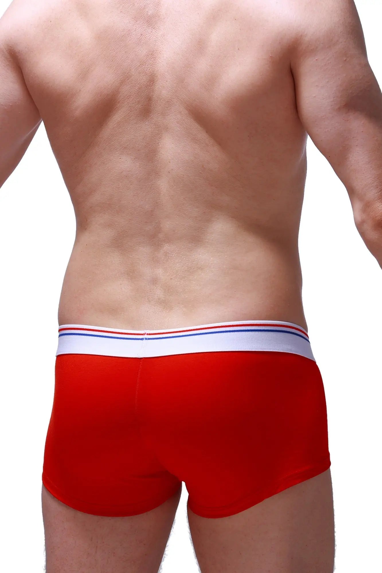 PetitQ trunk taik modal red men’s briefs in red with a white elastic waistband accented by thin red and blue stripes