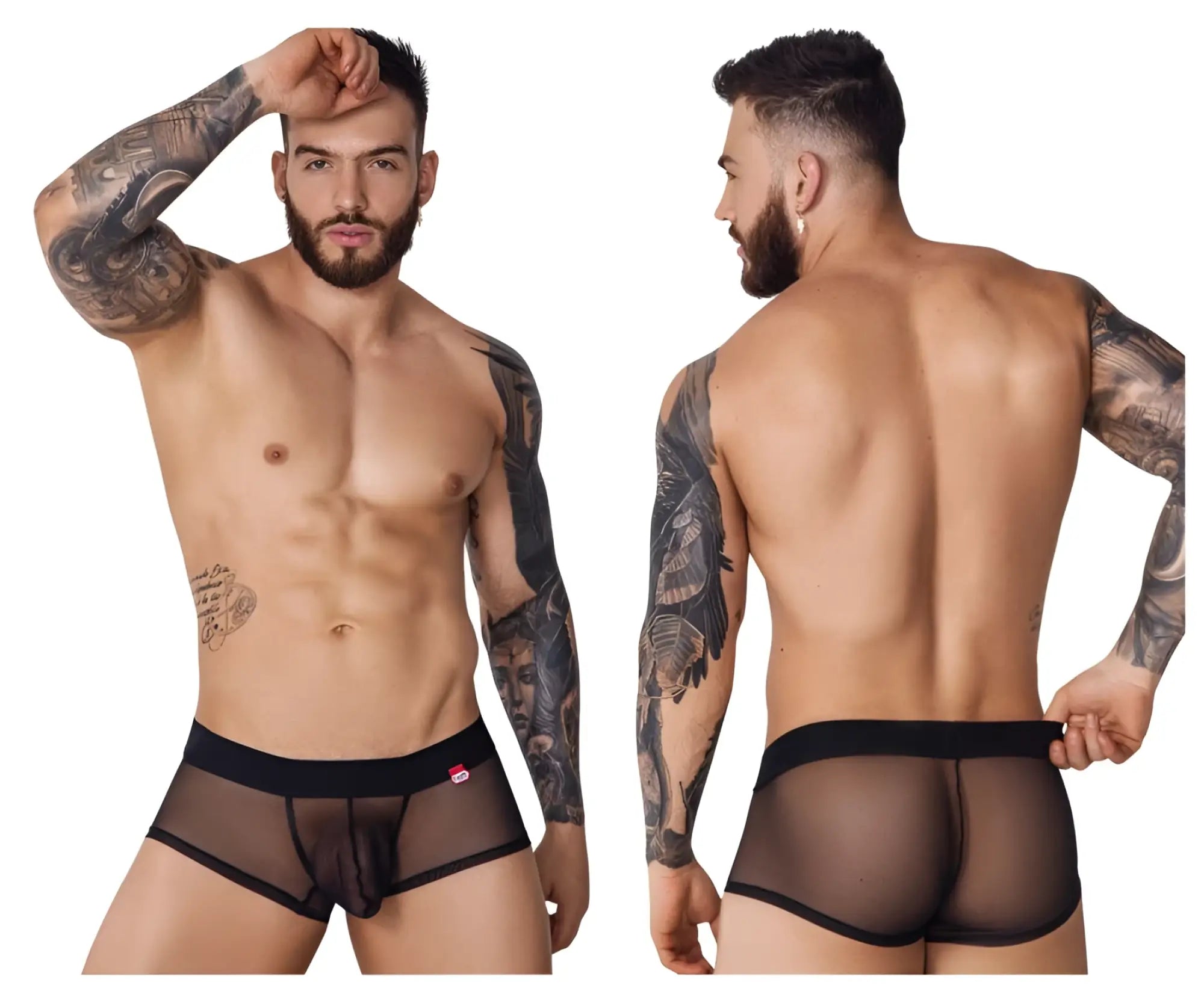 Black sheer mesh briefs with elastic waistband and trim from Pikante PIK 1090 Burly Mesh Trunks in black