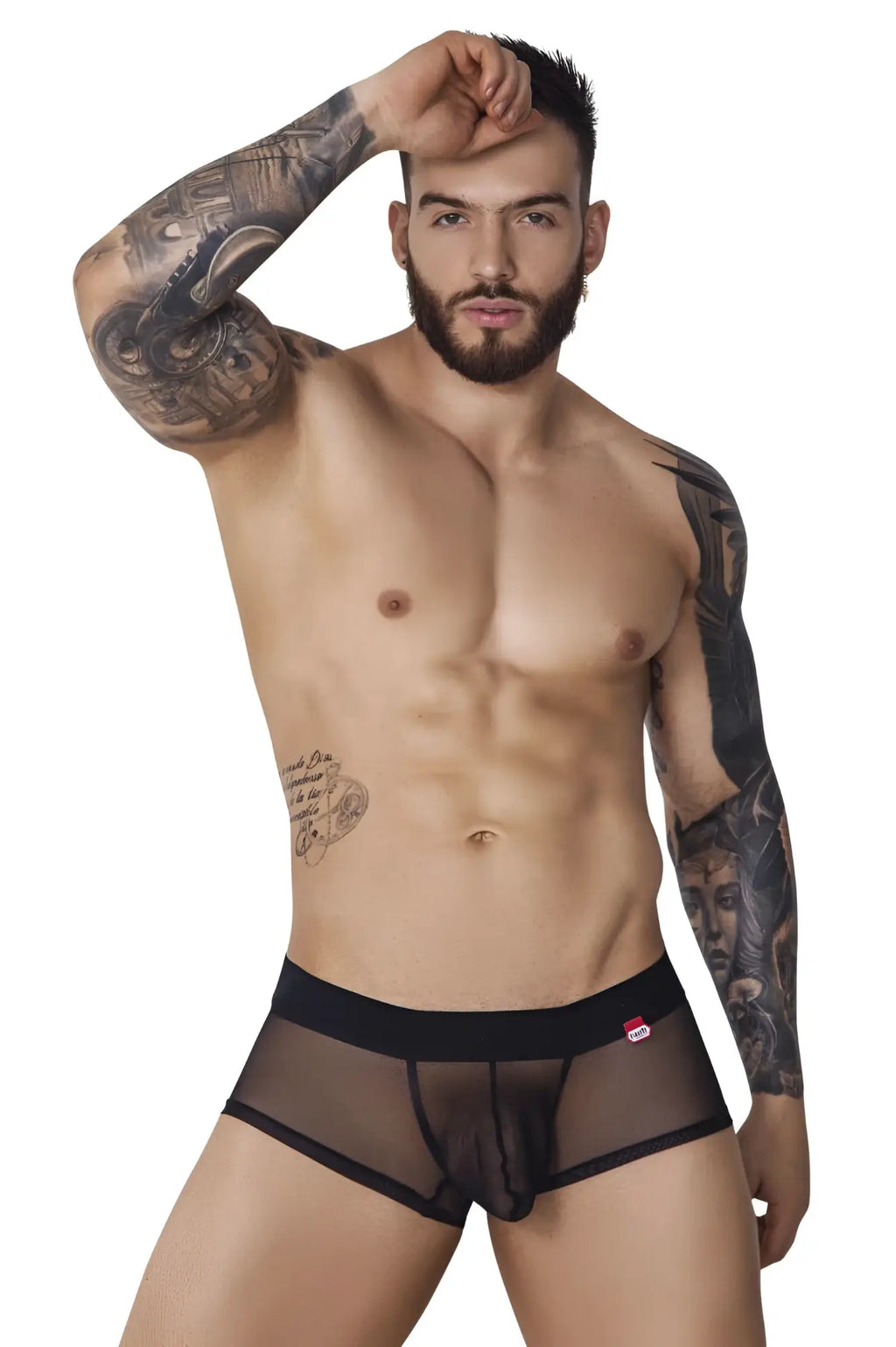Black sheer mesh briefs pikante pik 1090 burly mesh trunks with solid waistband and small red logo on the side