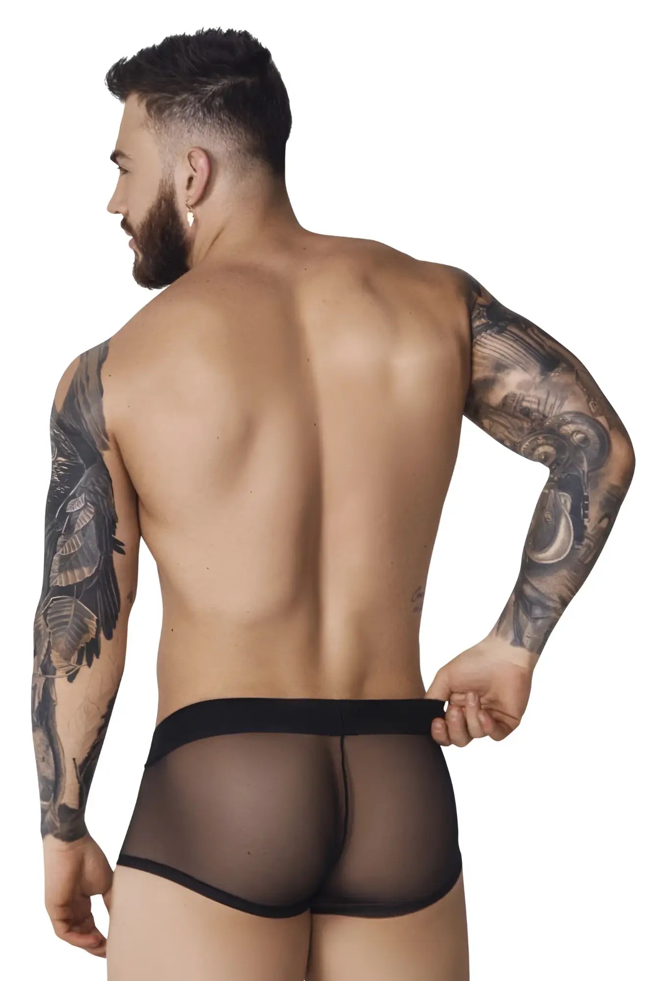 Black sheer mesh briefs with a solid black waistband from pikante pik 1090 burly mesh trunks color black collection