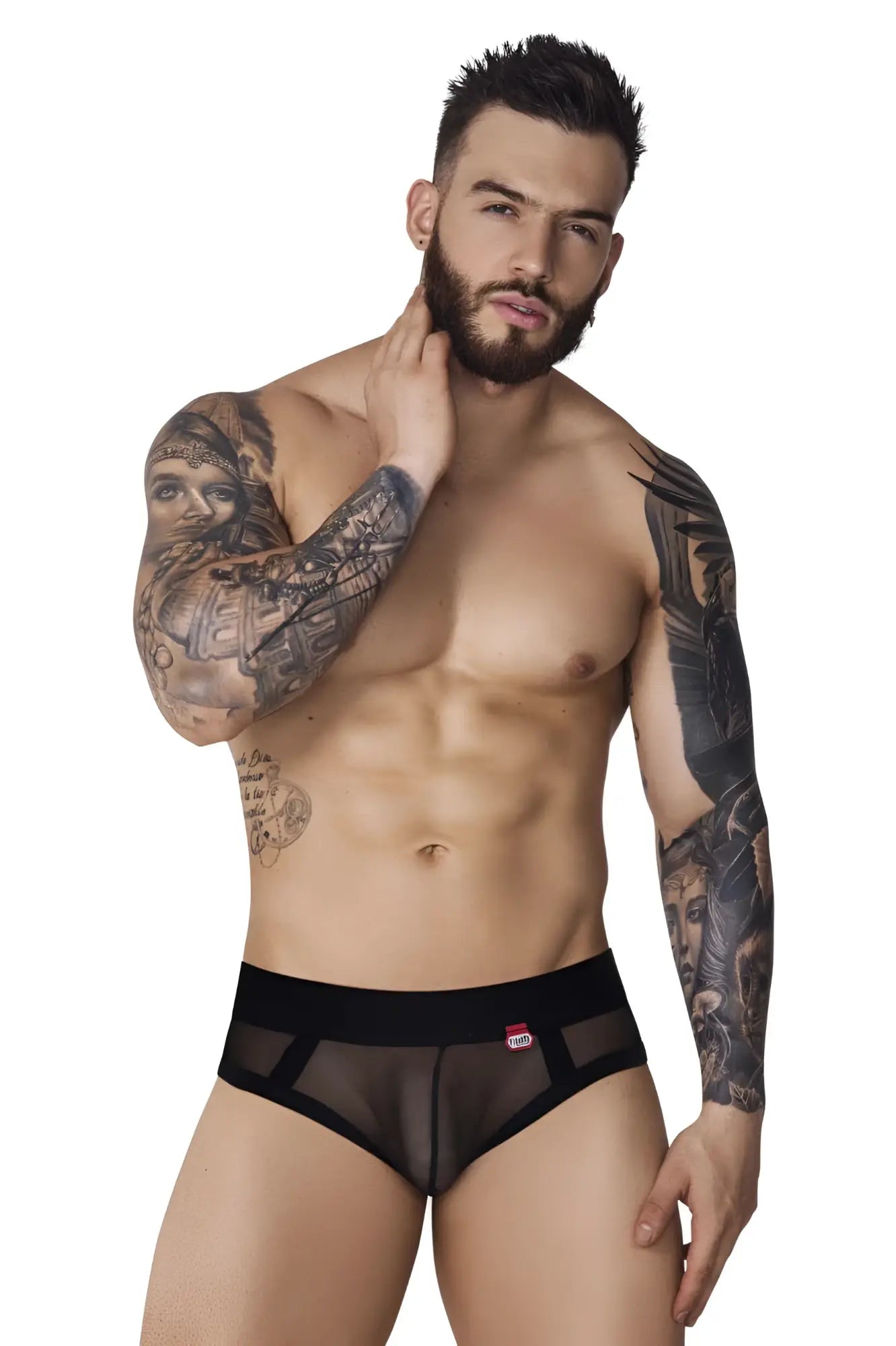 Black sheer mesh briefs with a solid black waistband pikante PIK 1091 burly mesh briefs color black front view