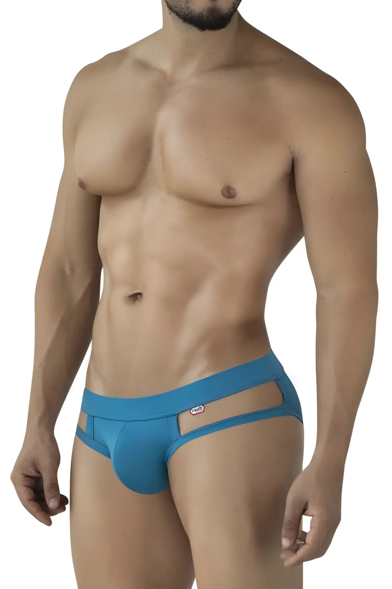 Blue pikante PIK 2114 lenox briefs for men with cut-out design and small logo on waistband