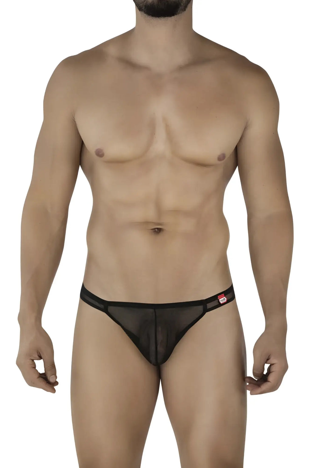 Black sheer mesh briefs with solid black waistband and red pikante logo tag from amusing thongs collection