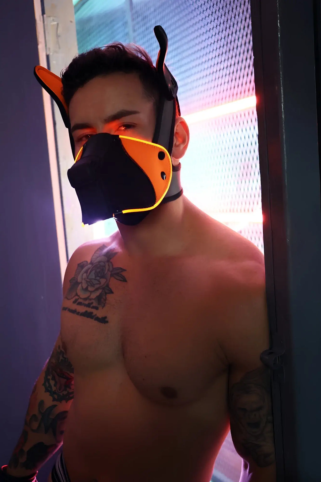 Orange and black led dog mask with glowing neon trim for night use poundtown pup mask 2.0 neon orange