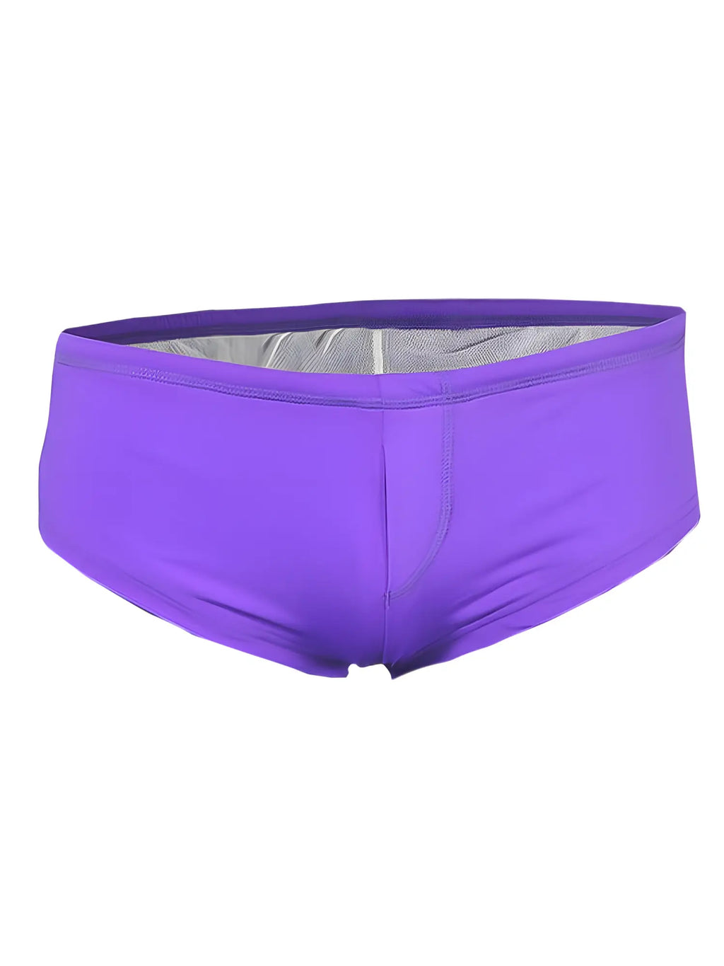 Pride justin brief purple swim trunks with silver mesh lining designed for comfortable swimming and beach wear