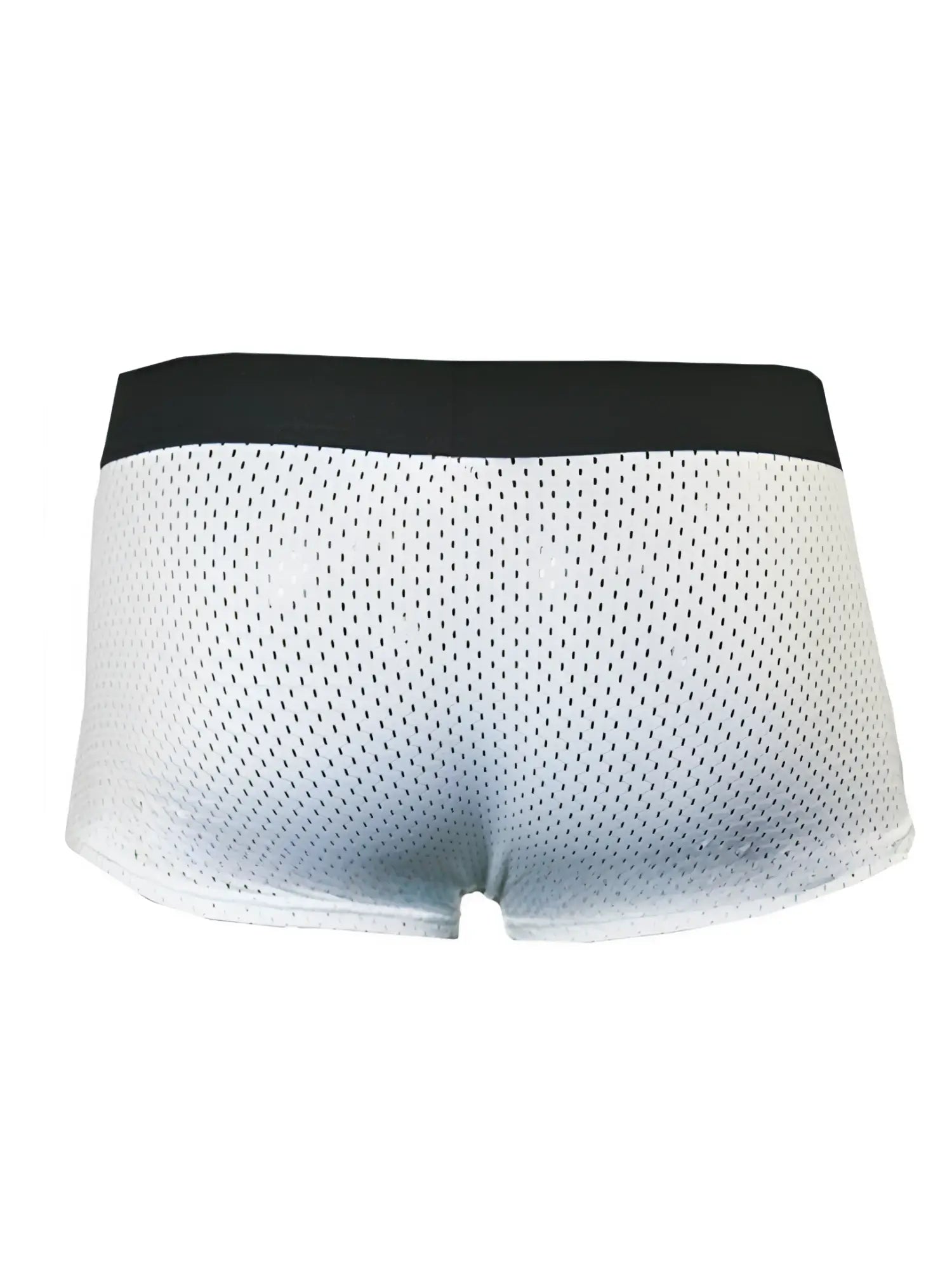 White mesh briefs with a black waistband from pride mesh trunk featuring breathable mesh fabric
