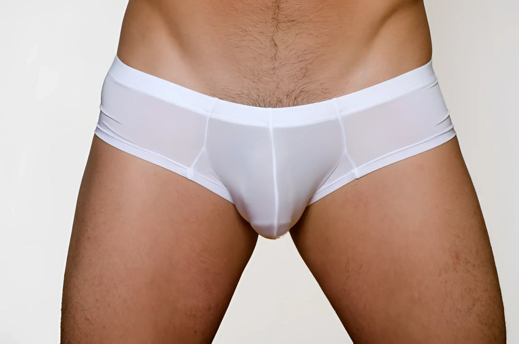 White sheer mesh pride metro bunz boxer briefs with a smooth elastic waistband and plus pouch front panel