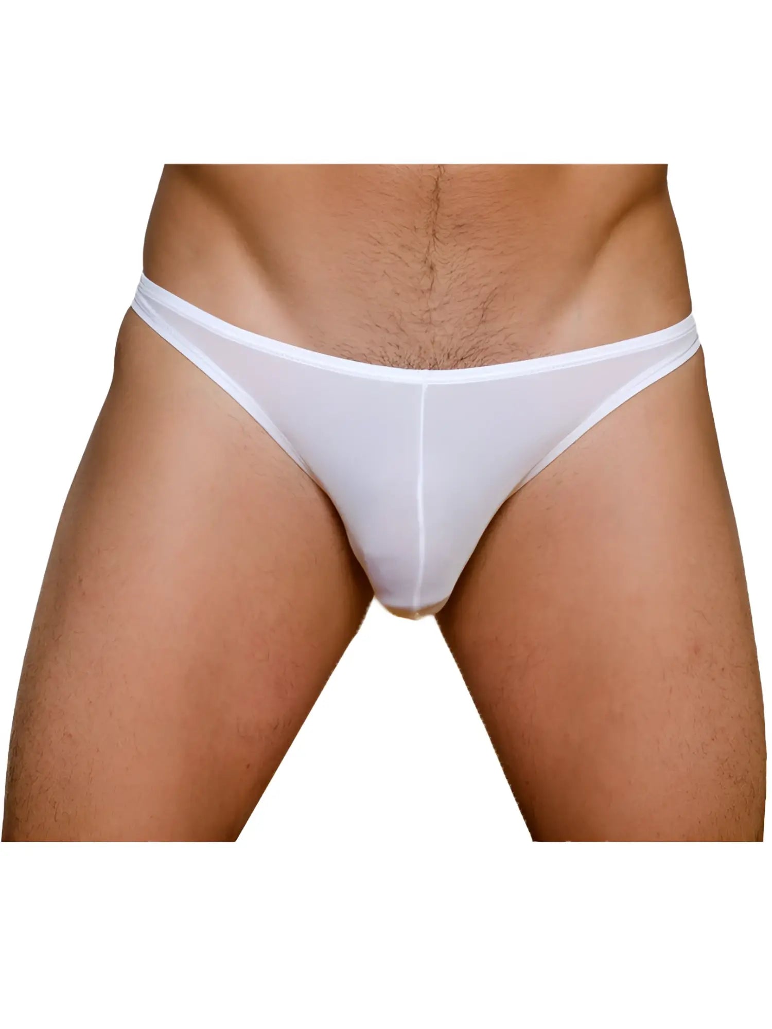 White sheer mesh briefs with narrow waistband and minimal coverage from pride metro rio bikini 3-pack
