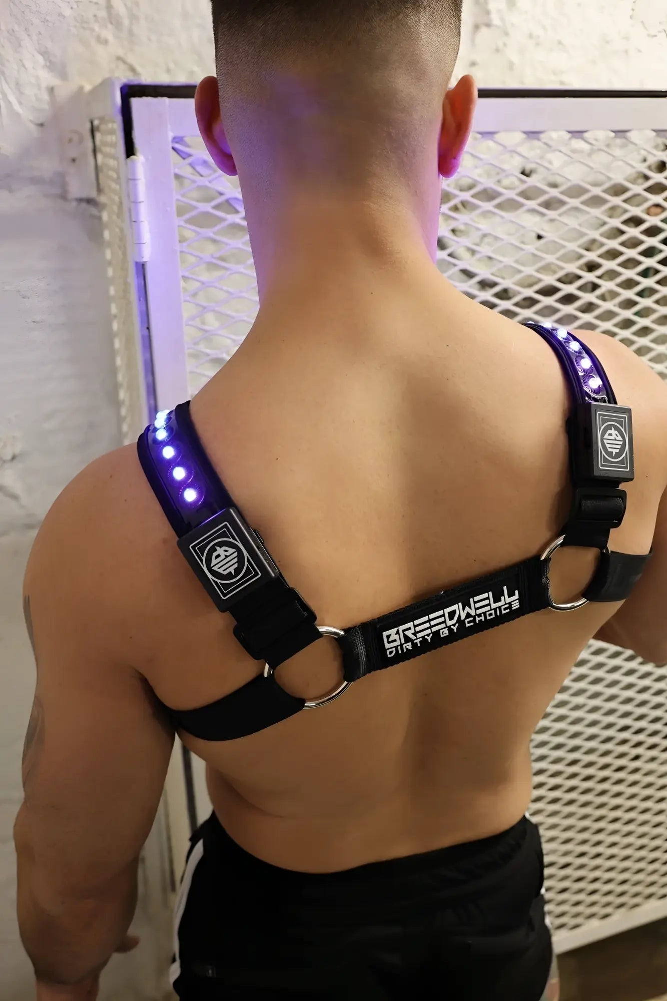 Prismaglow bulldog harness black led-lit with silver metal rings and greedwell branding for dogs