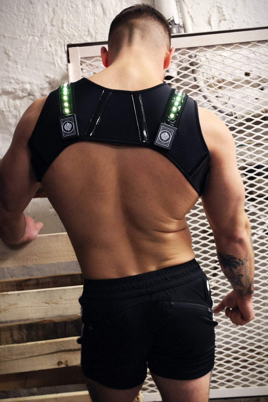 Breedwell Gay Men's Prismaglow Chest Harness