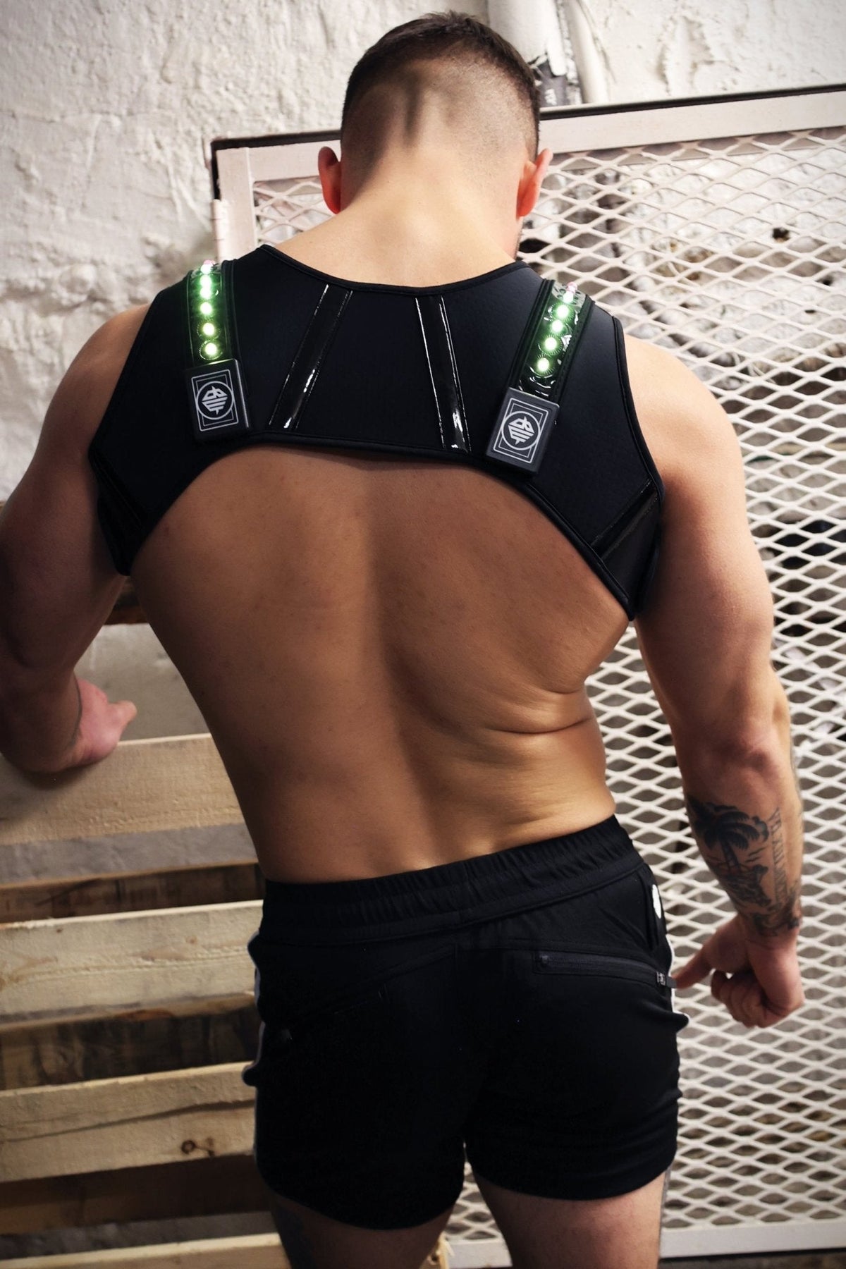 Breedwell Gay Men's Prismaglow Chest Harness
