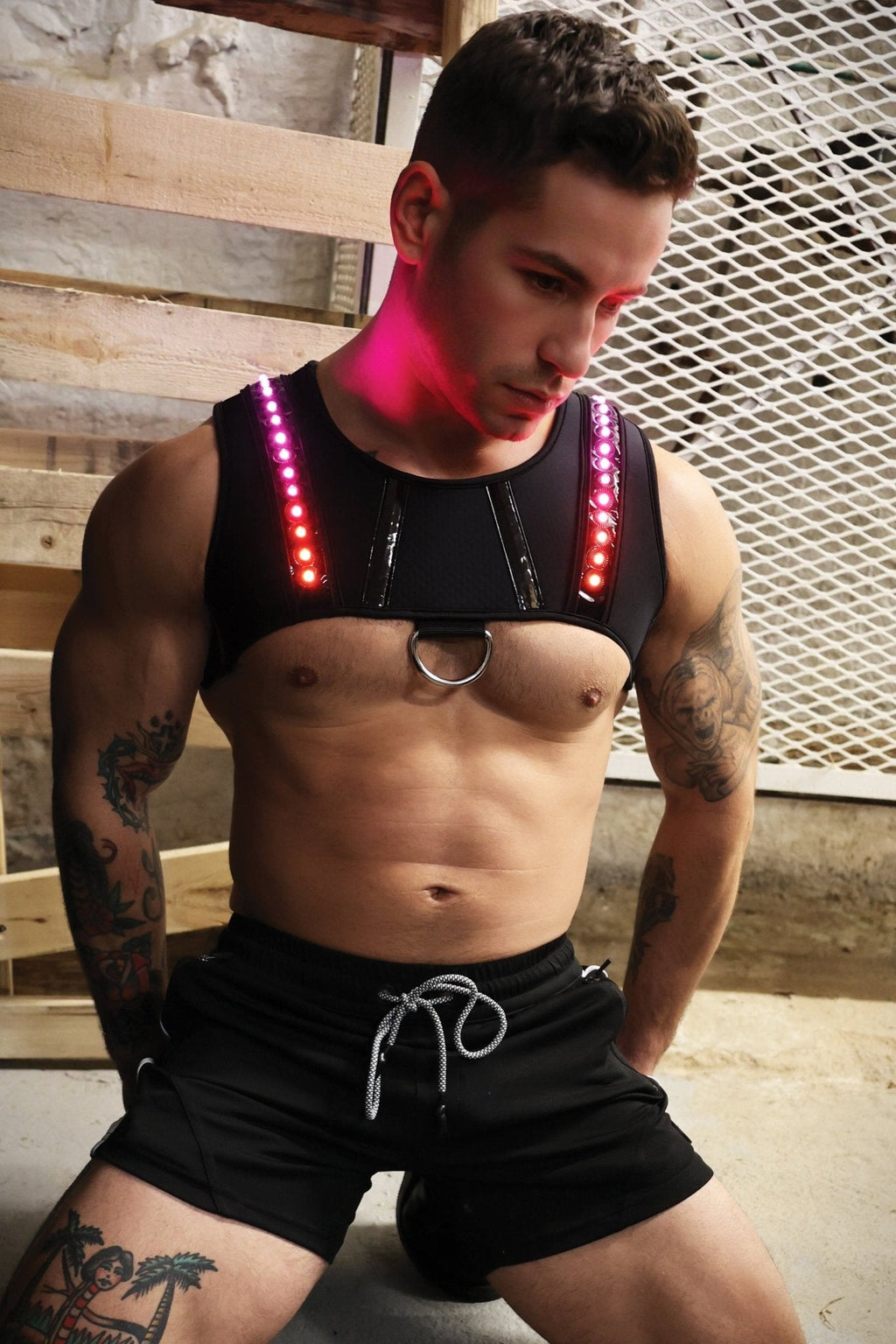 Breedwell Gay Men's Prismaglow Chest Harness