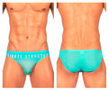 Turquoise sheer mesh briefs with private structure branded waistband in cyan mist color bare bikini style