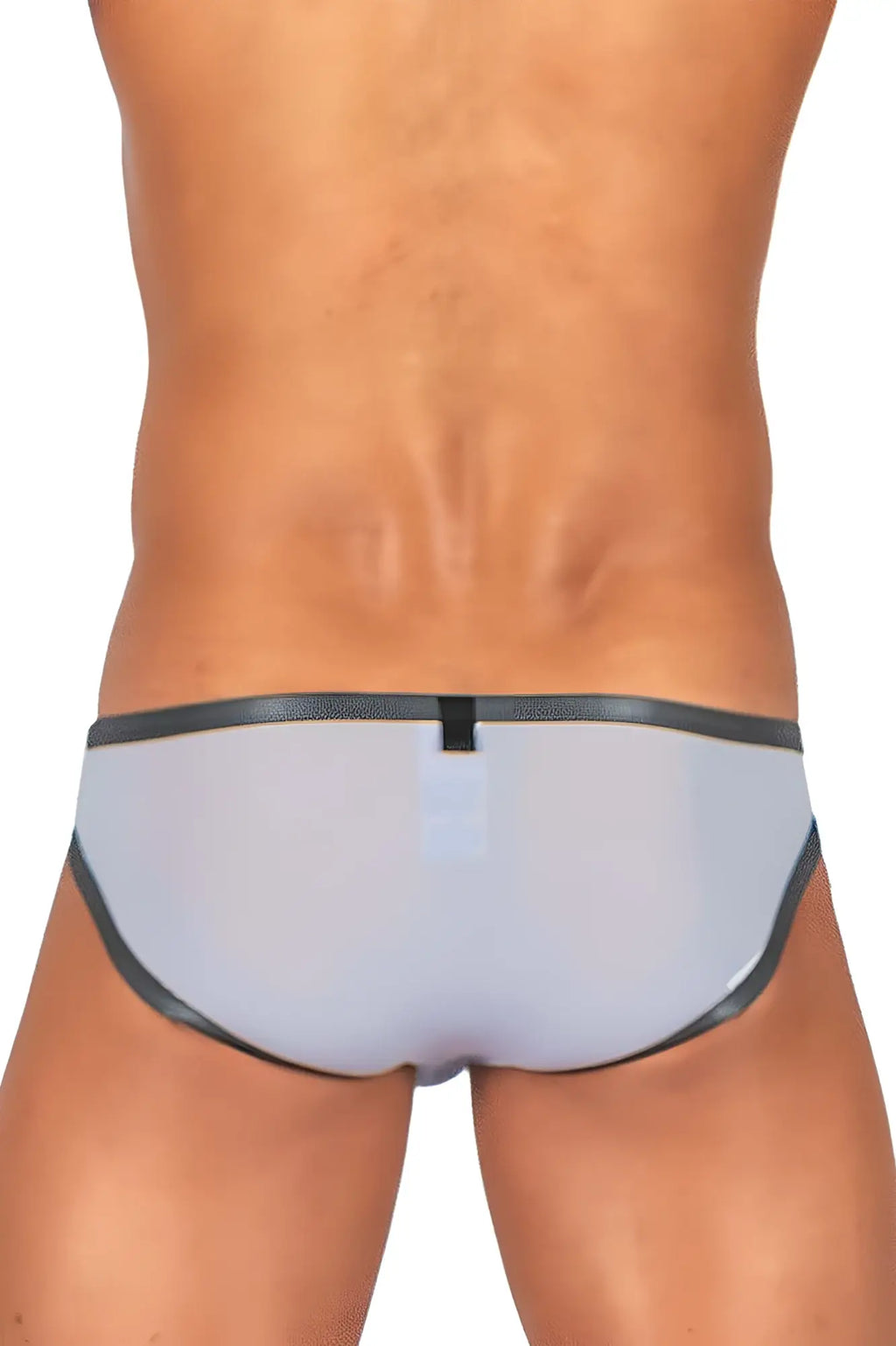 Gray translucent briefs with black trim and small central tab from private structure bare bikini lilac collection
